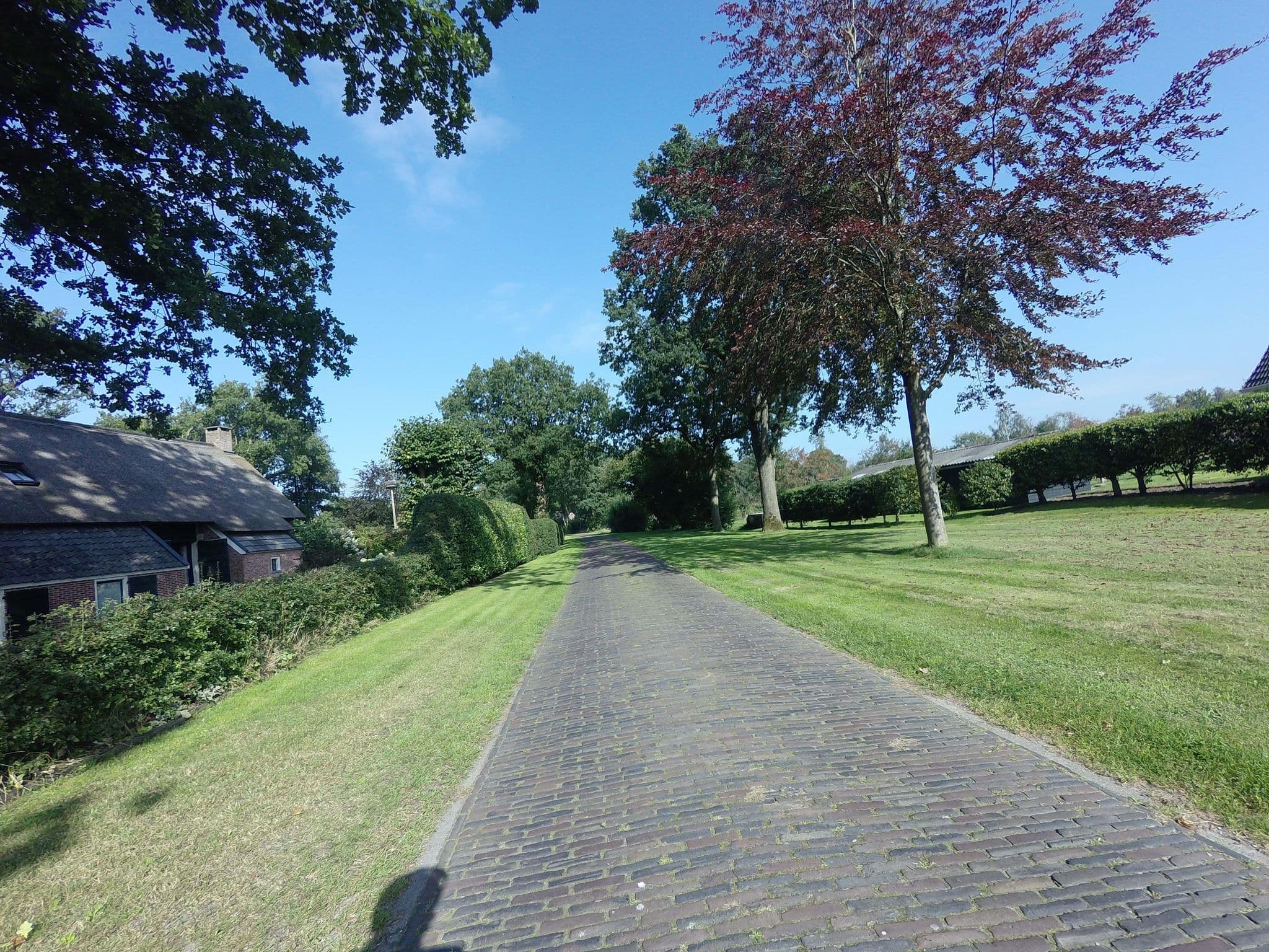Street view near Het Schepershoes, Norg — © ankeric (CC BY-SA · Mapillary)
