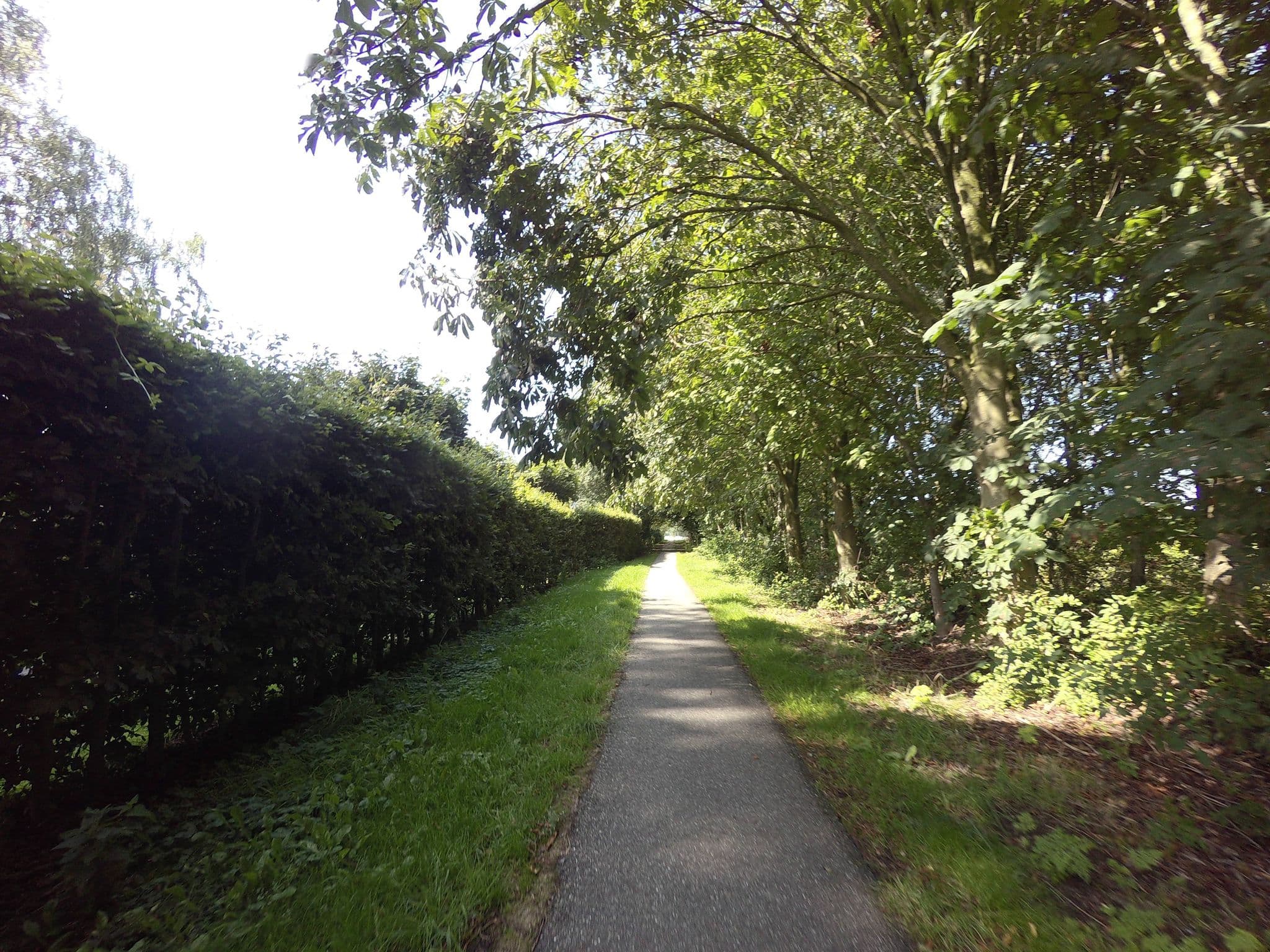 Street view near Boerencamping de Roos, Stiens — © ankeric (CC BY-SA · Mapillary)