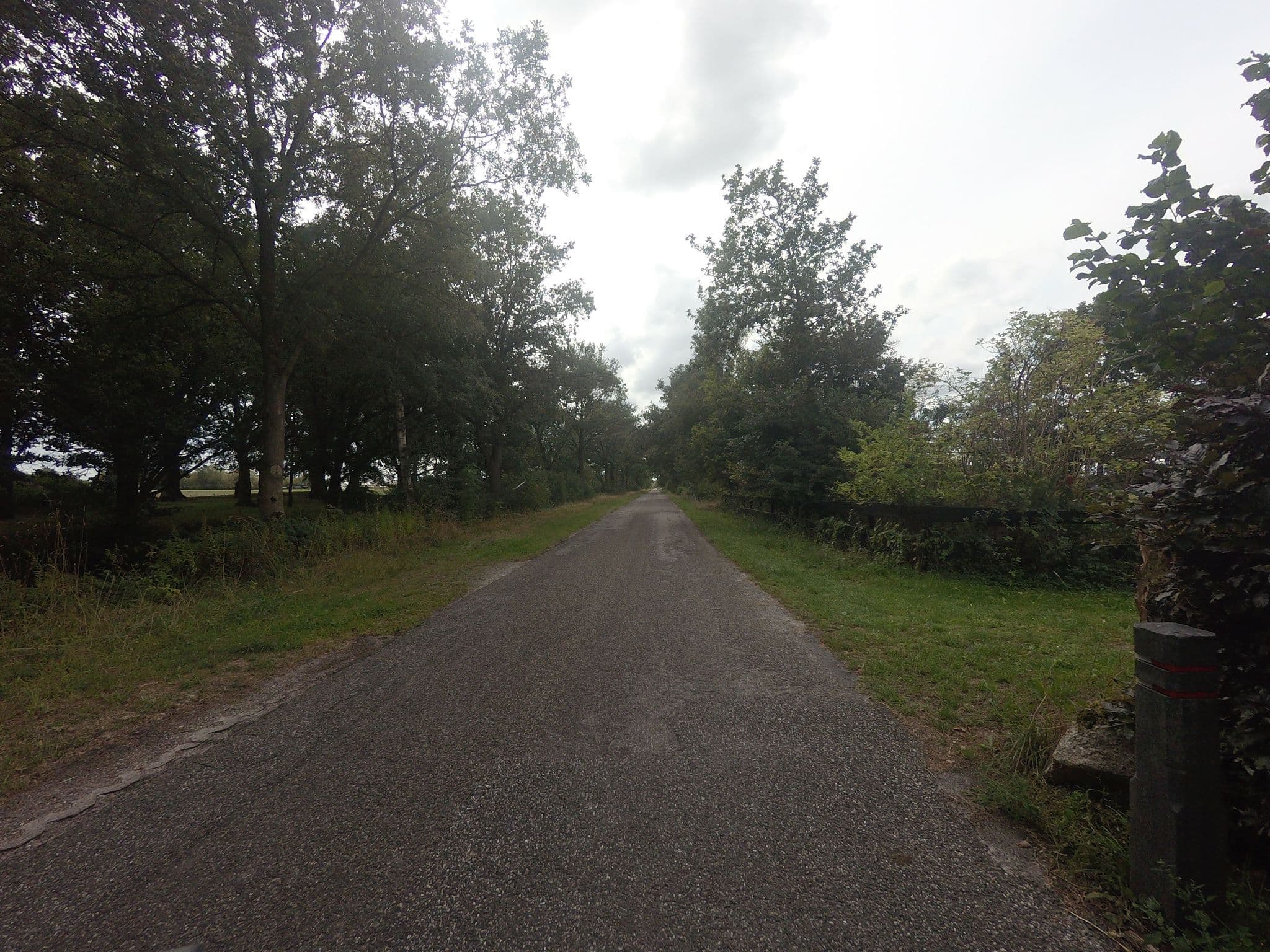 Street view near Tala Lodge (B&B), Appelscha — © ankeric (CC BY-SA · Mapillary)
