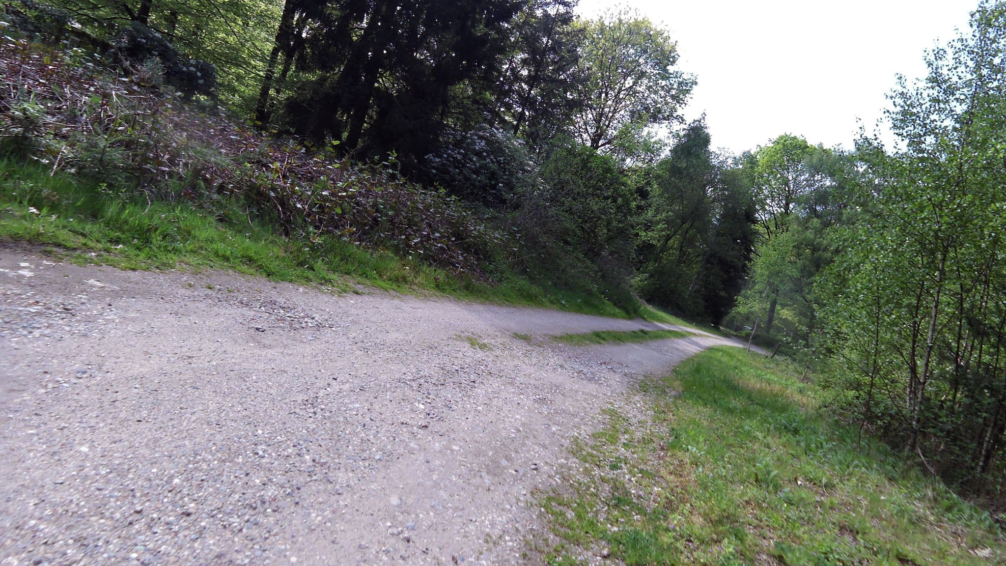 Street view near Landgoed Valkenburg, Bennekom — © multimodaal (CC BY-SA · Mapillary)