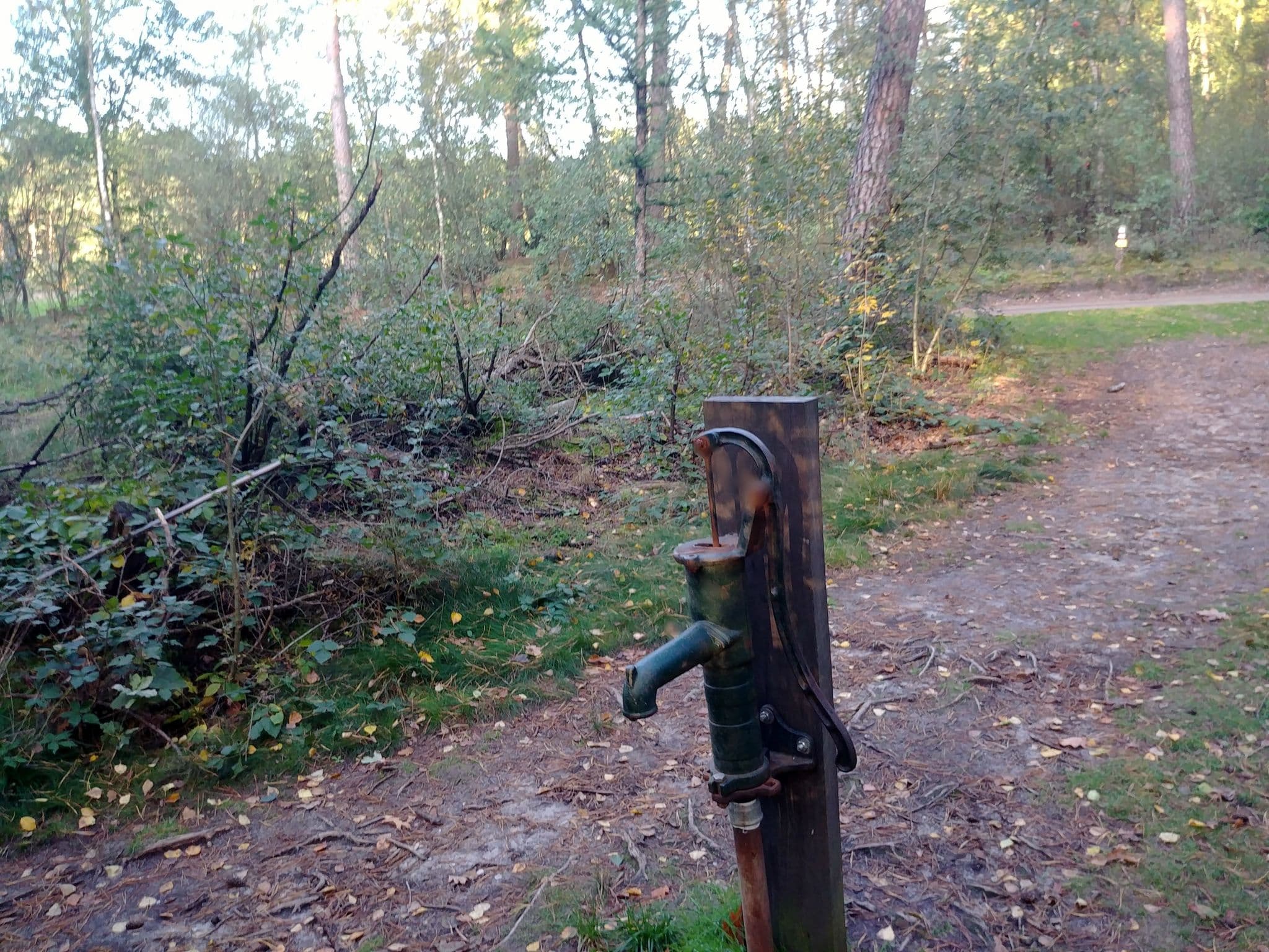 Street view near De Bruidssuite (Natuurcamping Quadenoord groepsterrein), Heelsum — © multi_wandel (CC BY-SA · Mapillary)