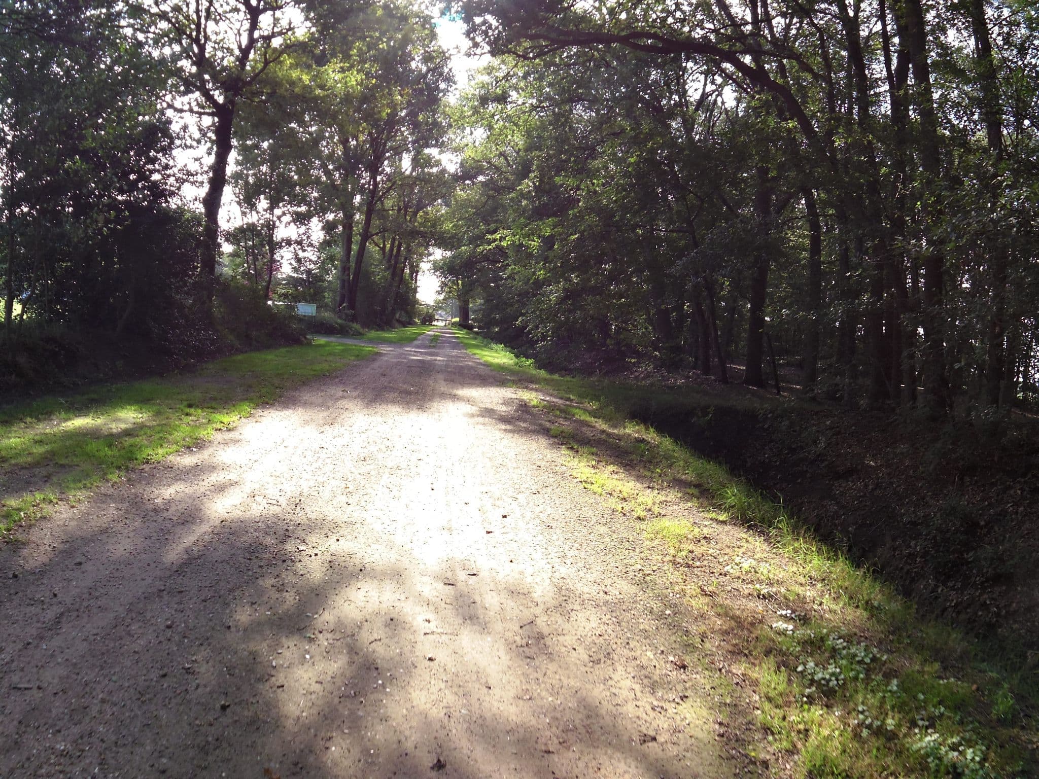 Street view near Veldscholte, Haaksbergen — © marczoutendijk (CC BY-SA · Mapillary)