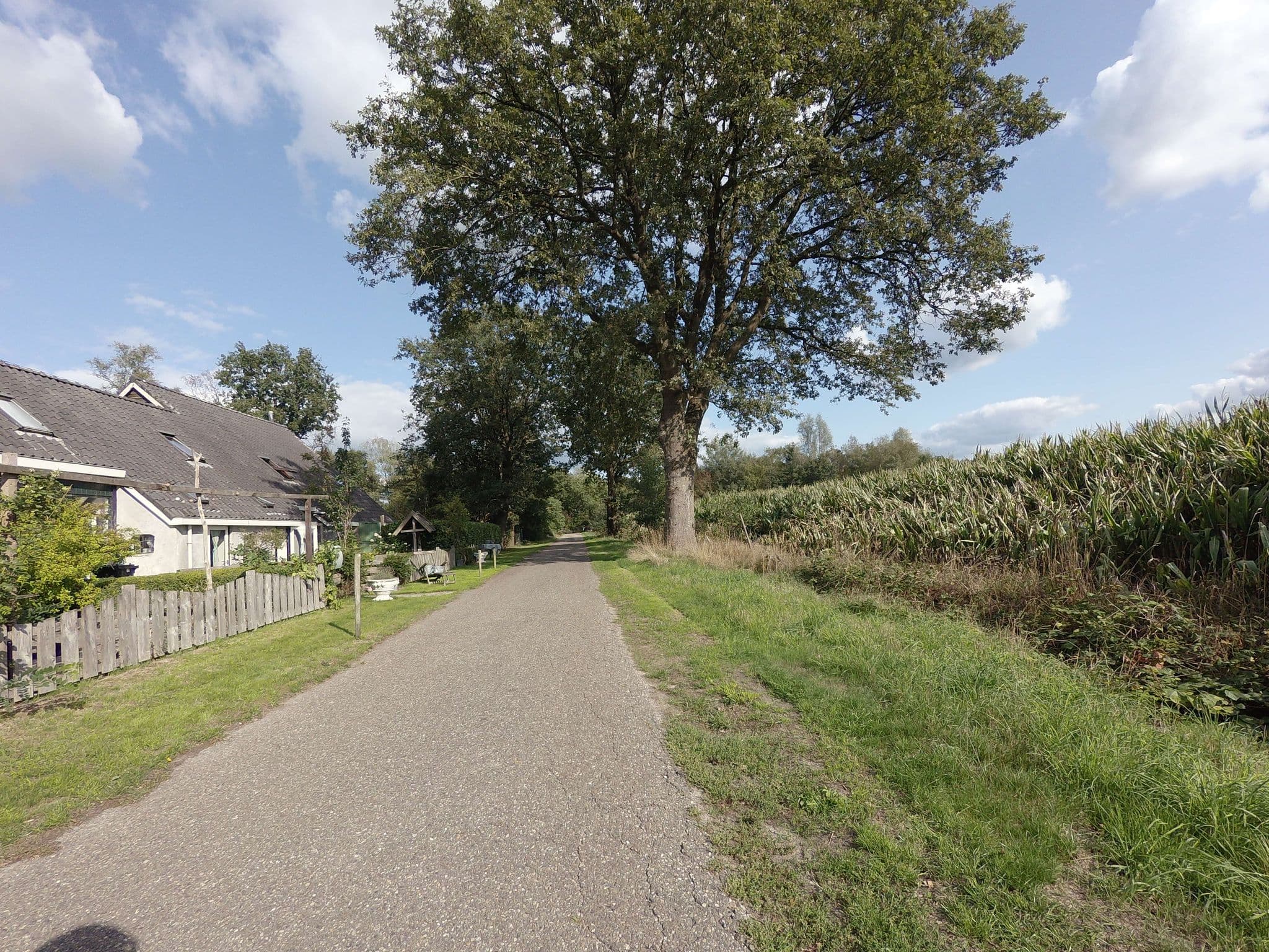 Street view near Camping Dwingelderhof, Dwingeloo — © ankeric (CC BY-SA · Mapillary)