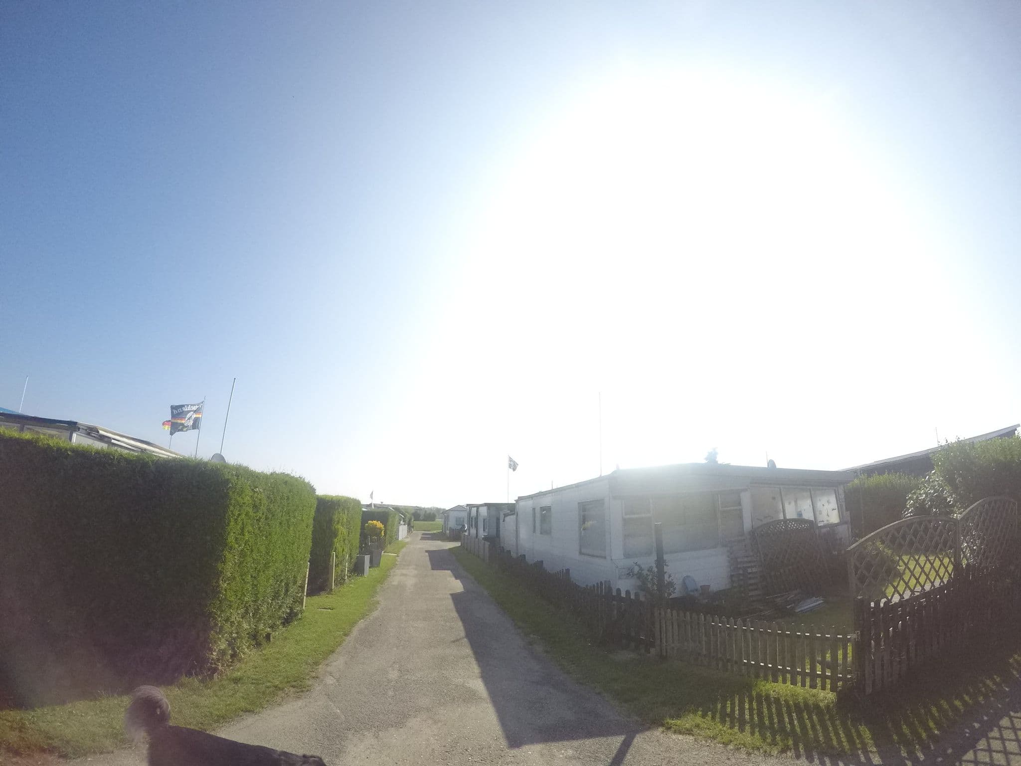 Street view near De Mars, Rheden — © geo_jan (CC BY-SA · Mapillary)