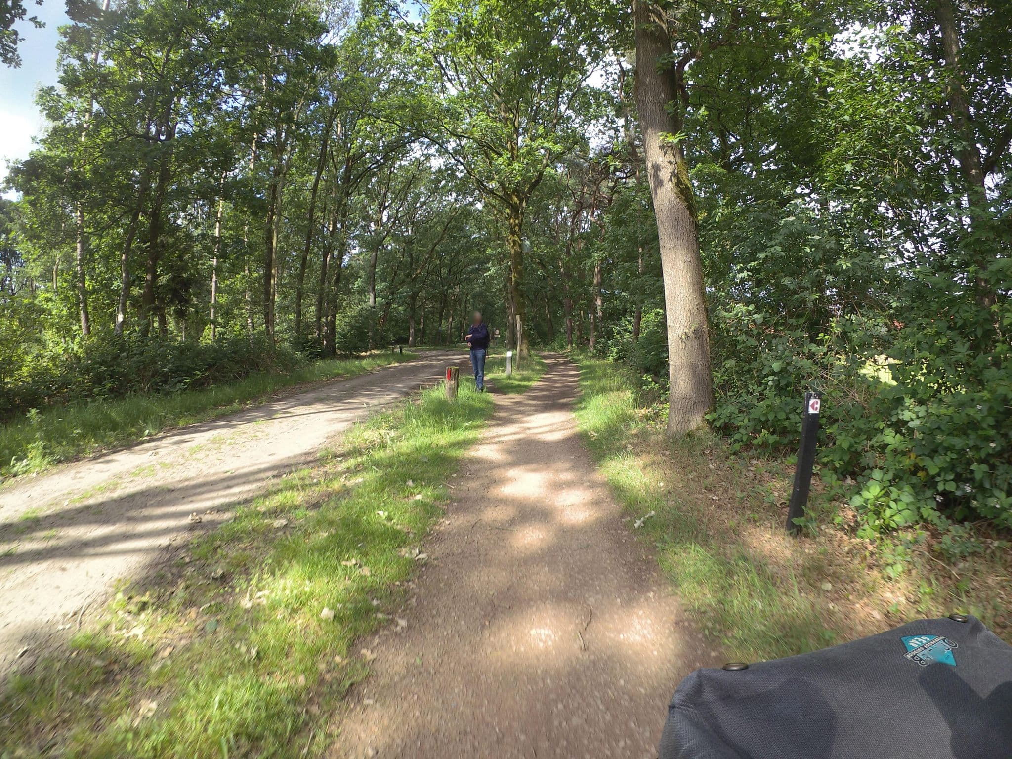 Street view near Wylder Woods, Lierop — © marczoutendijk (CC BY-SA · Mapillary)