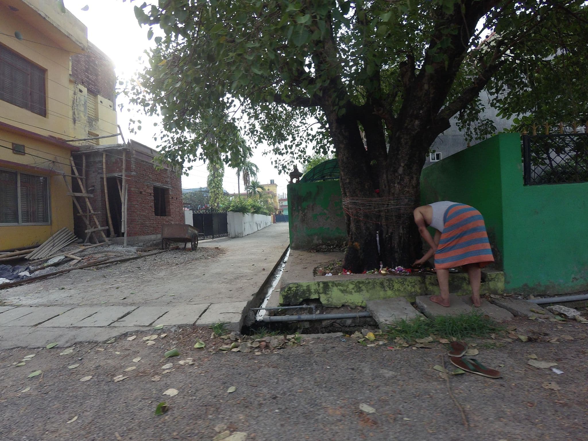 Street view near Annapurna Bal Batika, Siddharthanagar — © gauravparajuli09 (CC BY-SA · Mapillary)