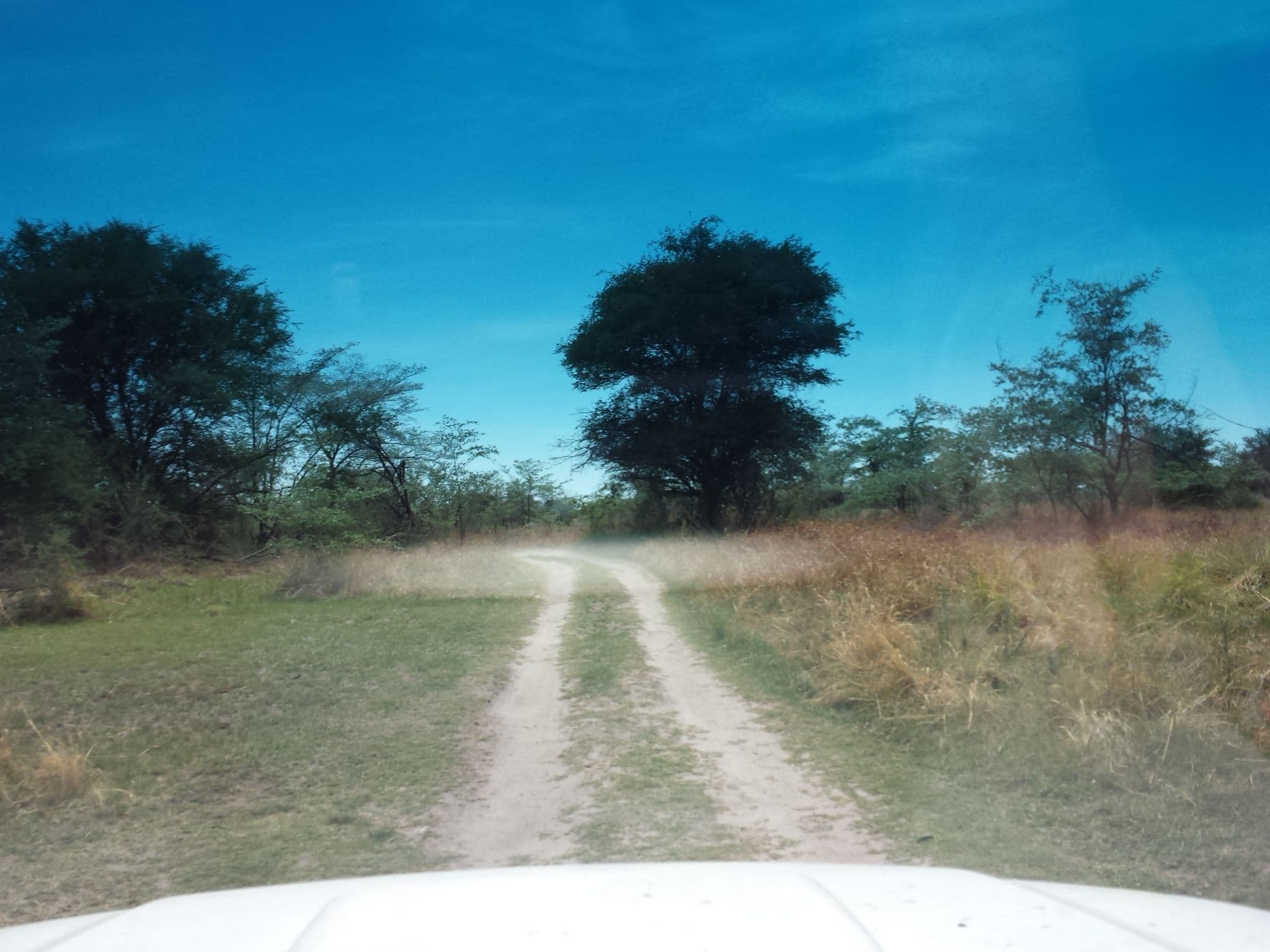 Street view near Mazambala Island Lodge, Jamba — © staehler (CC BY-SA · Mapillary)
