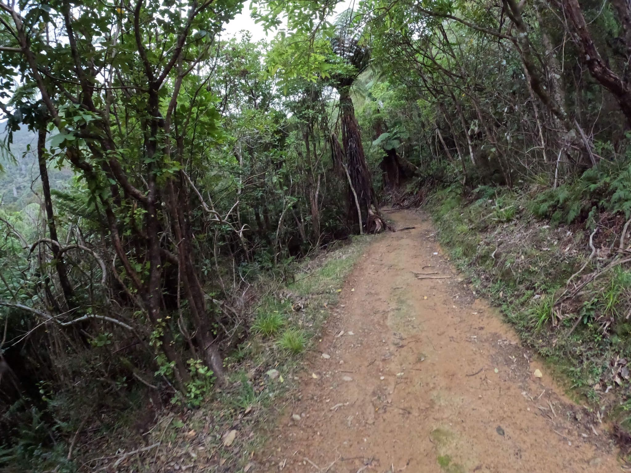 Street view near The Woolshed, Waikawa — © ralley (CC BY-SA · Mapillary)