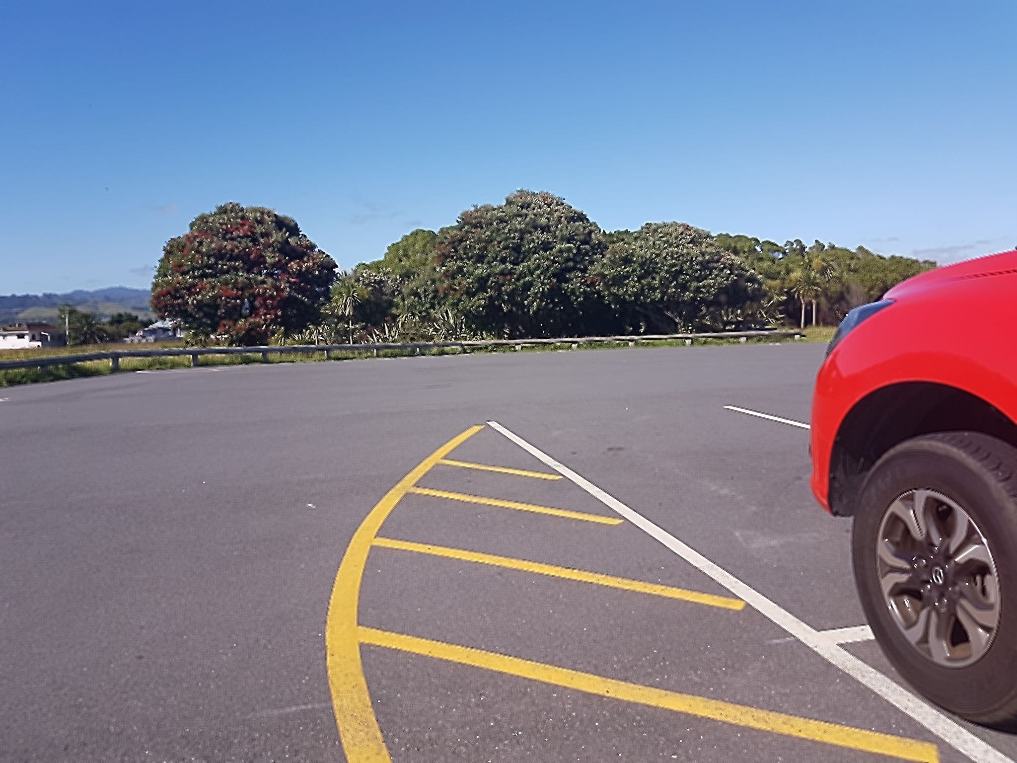 Street view near Stella Place, Tauranga — © skillsy (CC BY-SA · Mapillary)