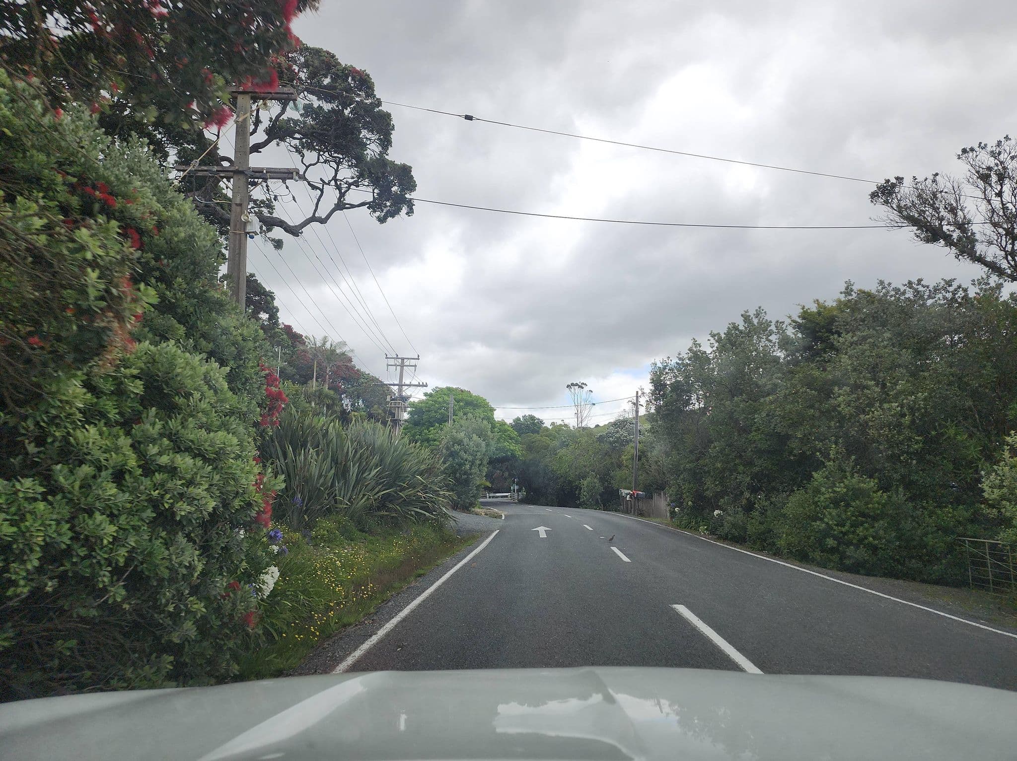 Street view near Sandy Beach Camp, Ngunguru — © timwardWDC (CC BY-SA · Mapillary)