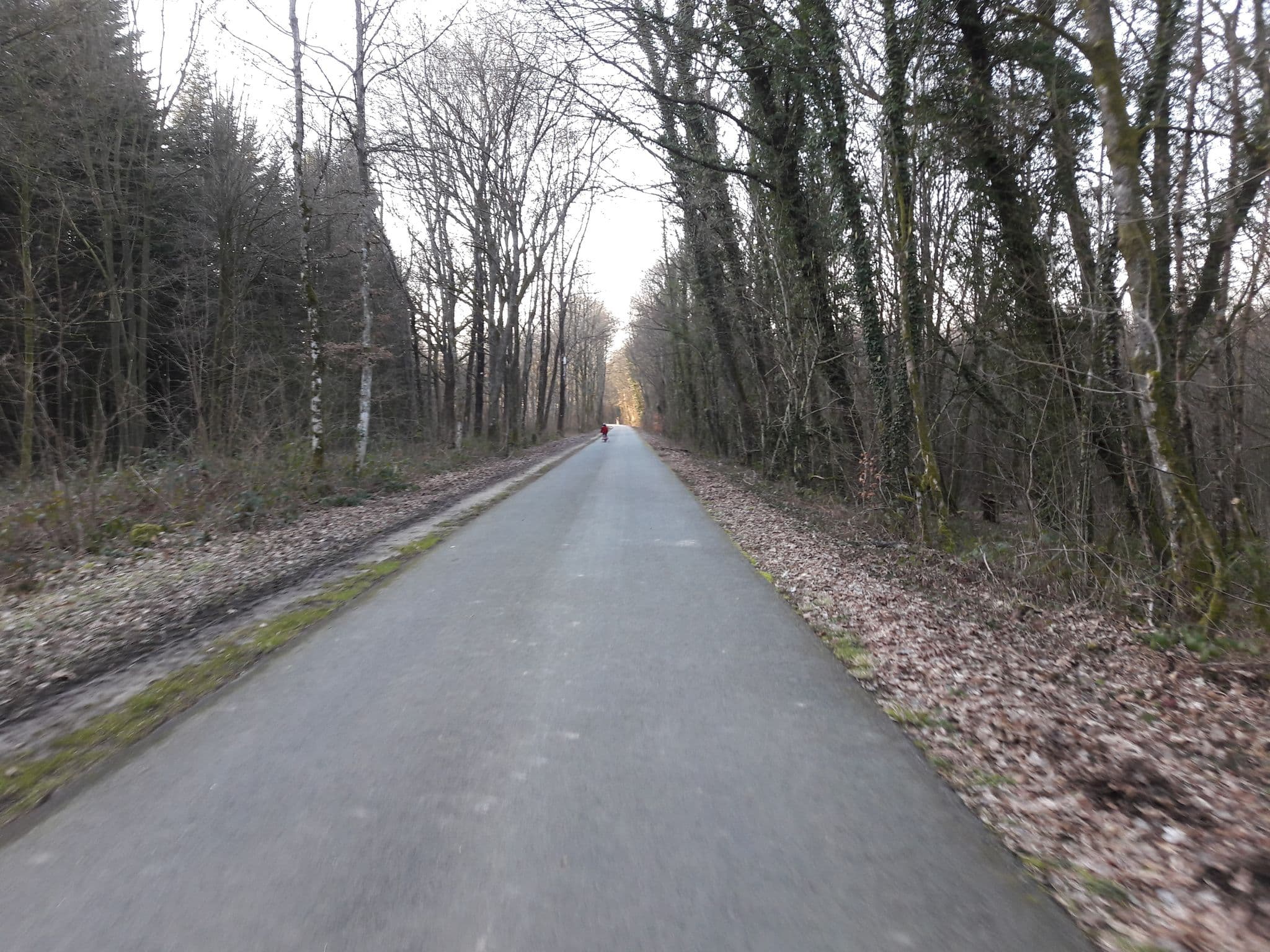 Street view near Bivouac du Sentier des Pins, Seloignes — © brunoduye (CC BY-SA · Mapillary)