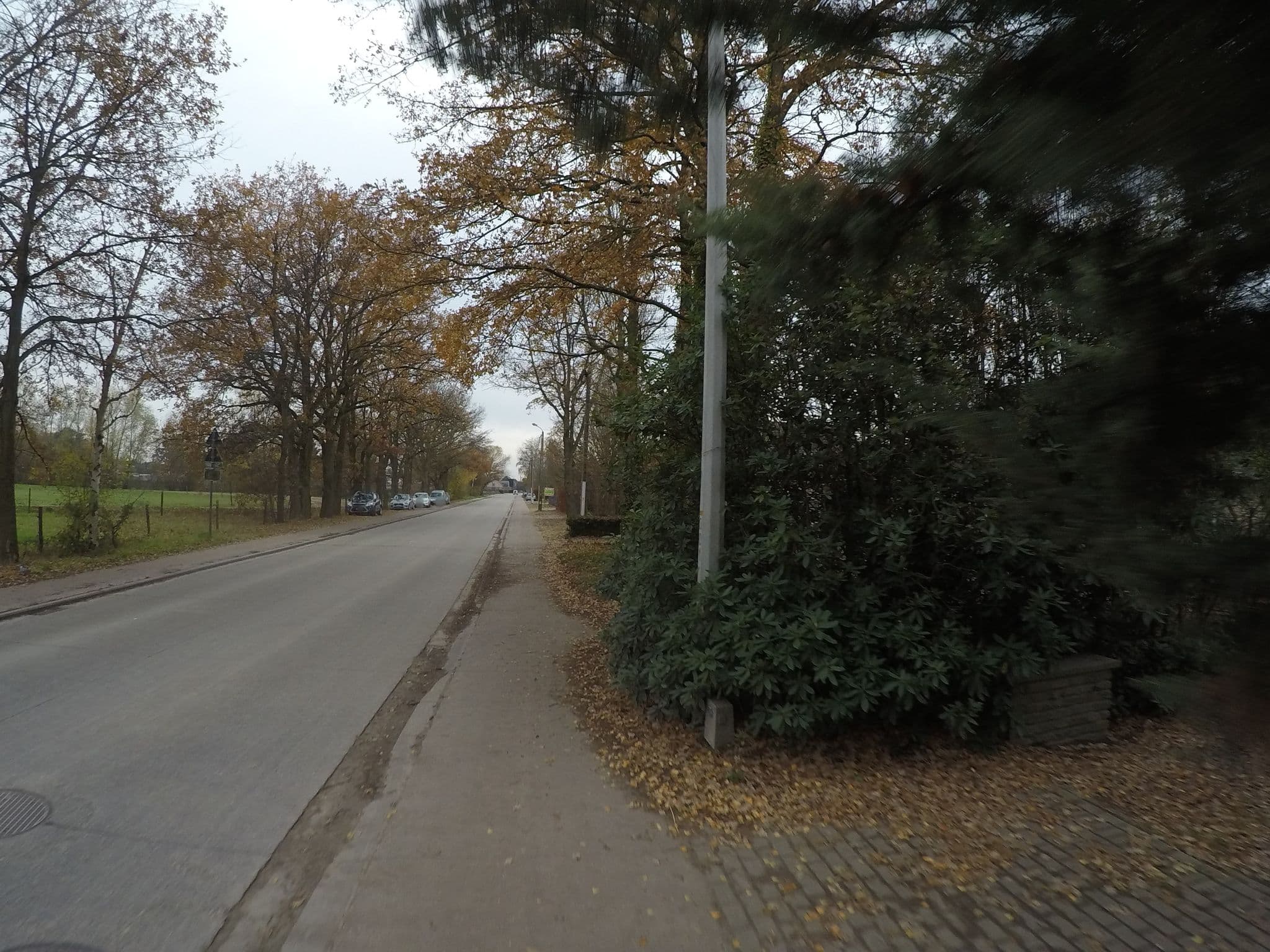 Street view near Zuiderkempen, Hulshout — © koninklijke (CC BY-SA · Mapillary)