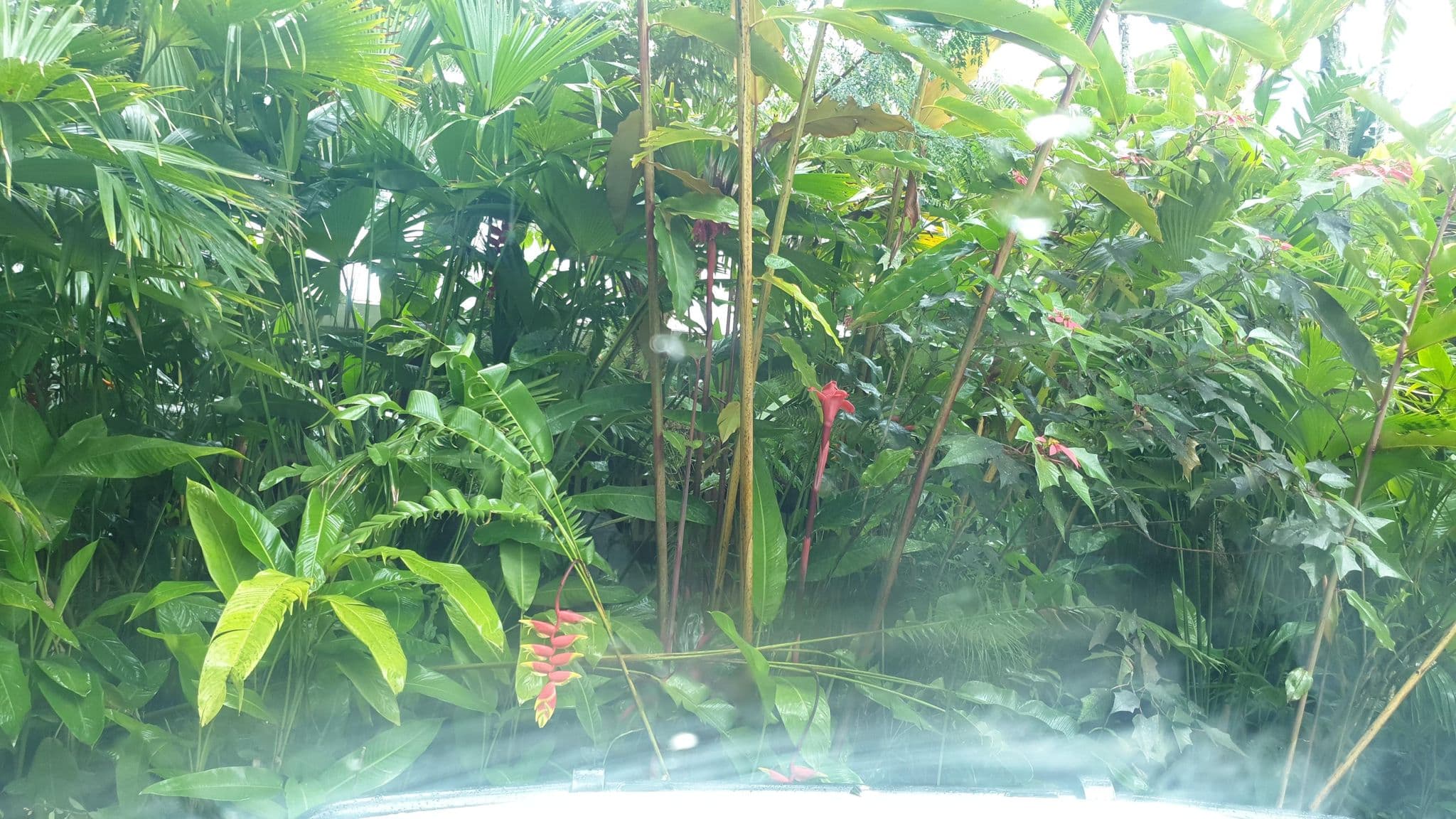 Street view near Pacific Gardens Hotel, Goroka — © jthnz (CC BY-SA · Mapillary)