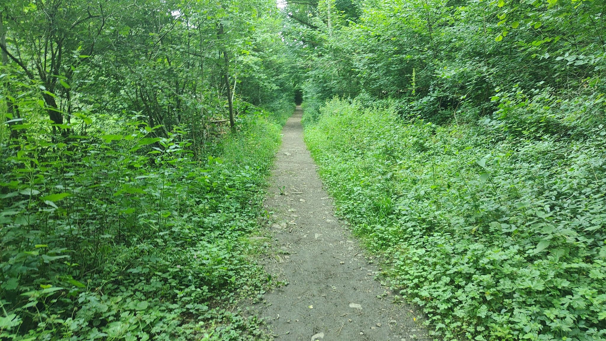 Street view near Bivouac de la Vallée des Oiseaux, Baileux — © jeroenrozema74 (CC BY-SA · Mapillary)