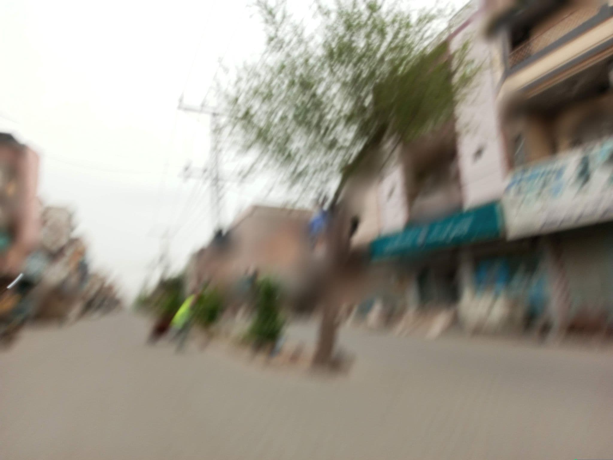 Street view near Liaqat Tea Stall, Dera Ghazi Khan — © usamanoor (CC BY-SA · Mapillary)