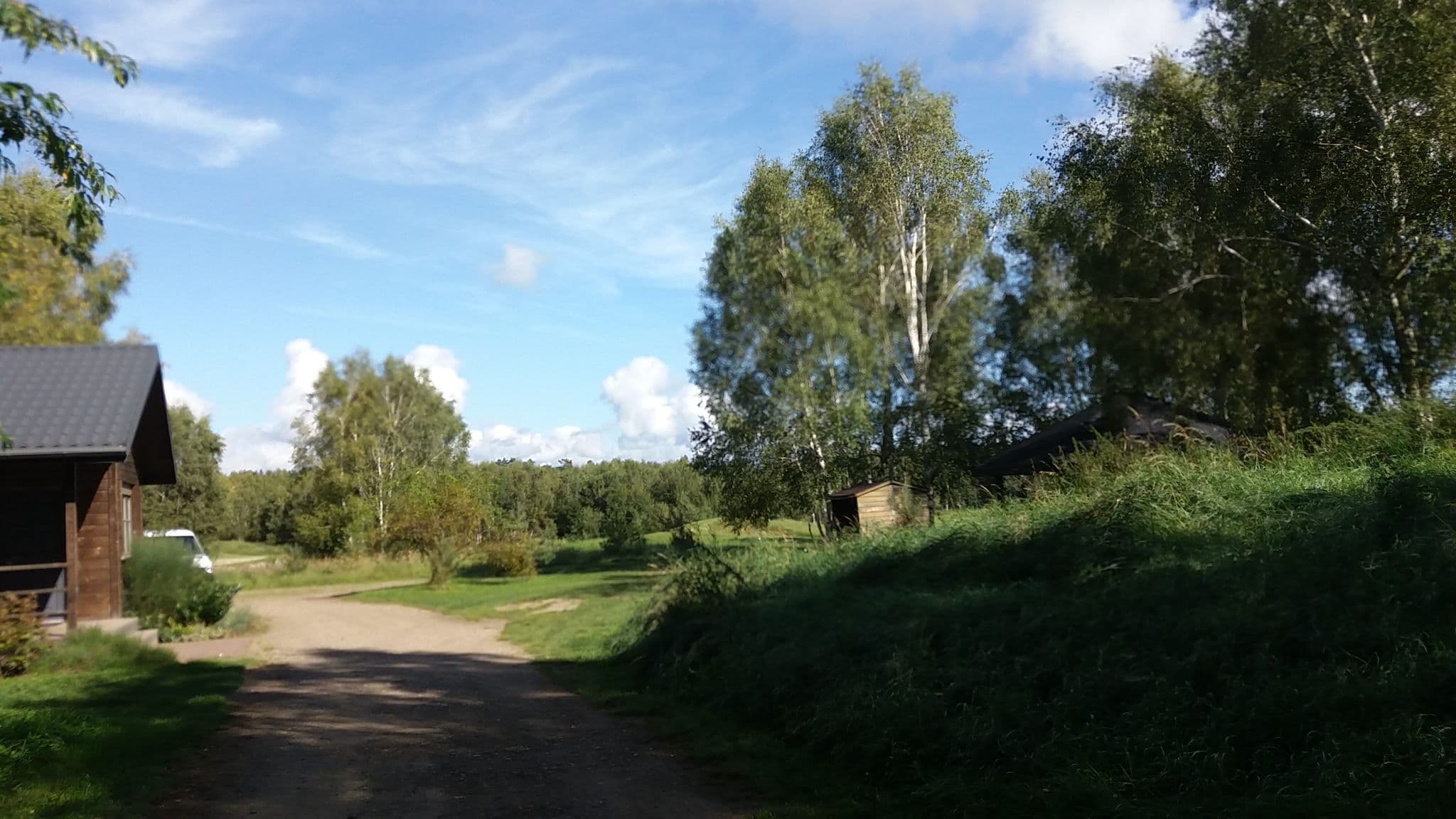 Street view near Modry las, Choszczno — © czadzik (CC BY-SA · Mapillary)