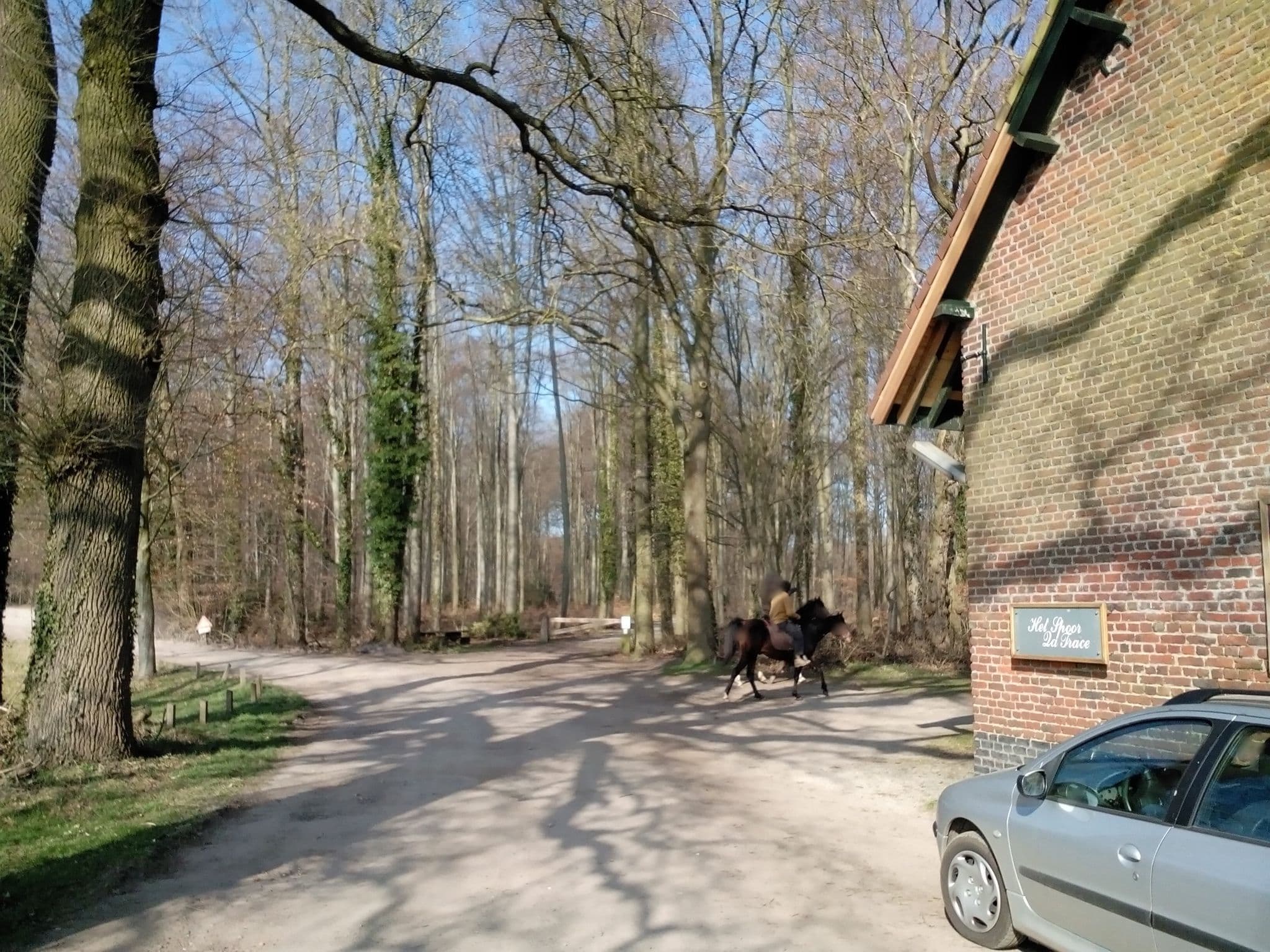 Street view near Het Spoor Meerdaalwoud (Bierbeek), Nethen — © polyglot (CC BY-SA · Mapillary)
