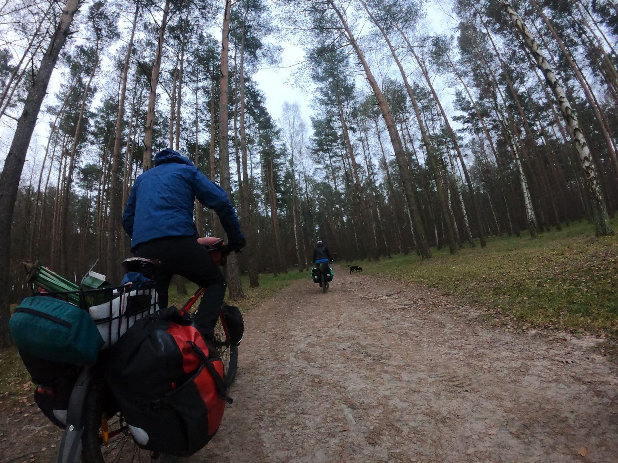 Street view near Pole namiotowe u Jagody, Przytoczna — © masterofnoroad (CC BY-SA · Mapillary)