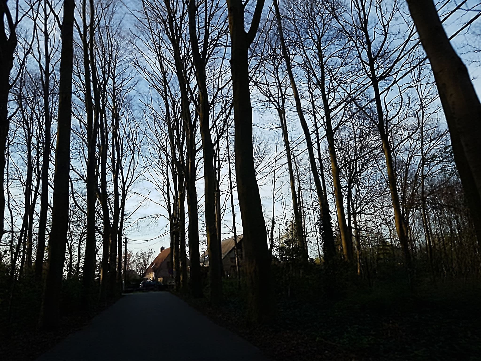 Street view near trekkershut Epona, Veldegem — © filipc (CC BY-SA · Mapillary)