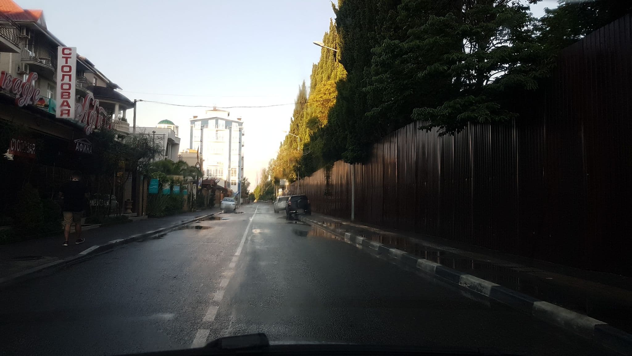 Street view near Camellia, Adler — © teddy73 (CC BY-SA · Mapillary)