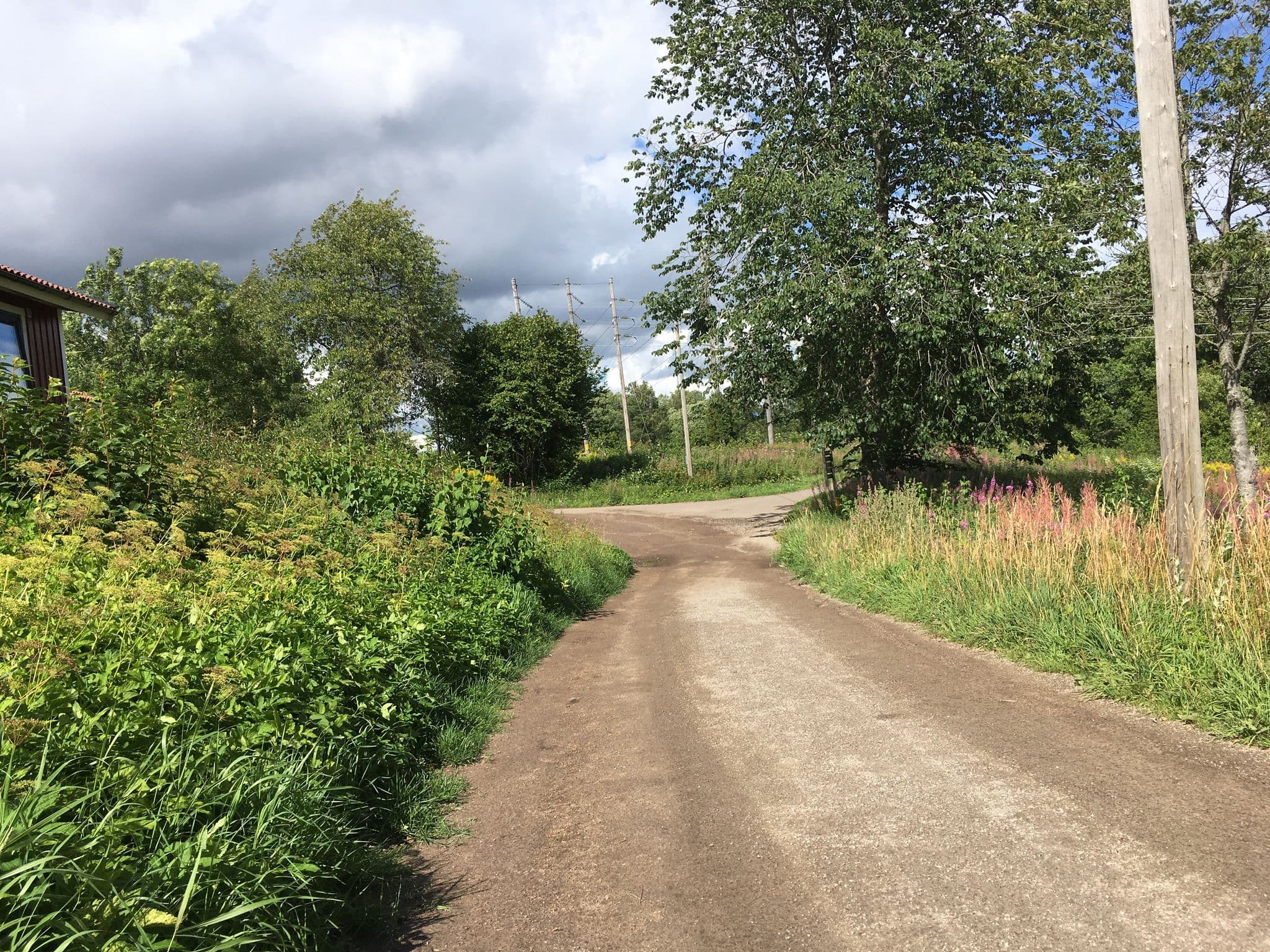 Street view near Sätuna, Falköping — © mirta (CC BY-SA · Mapillary)