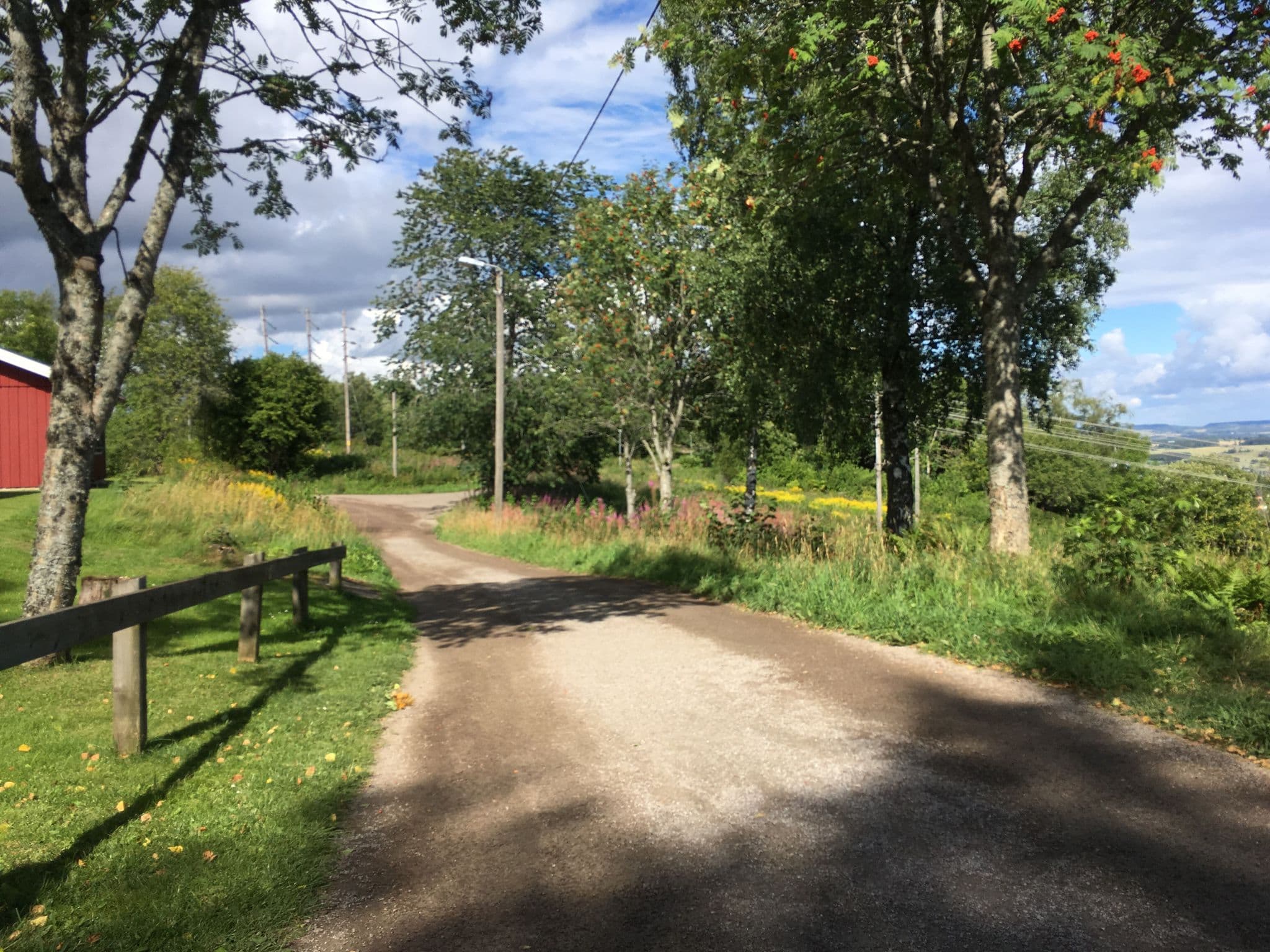 Street view near Åsle, Falköping — © mirta (CC BY-SA · Mapillary)