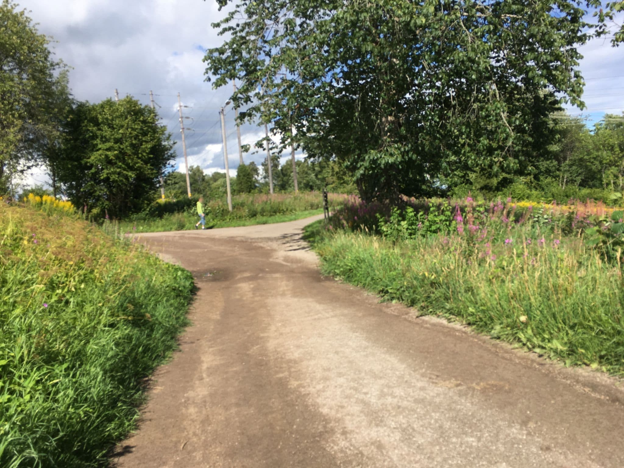 Street view near Gökhem, Falköping — © mirta (CC BY-SA · Mapillary)