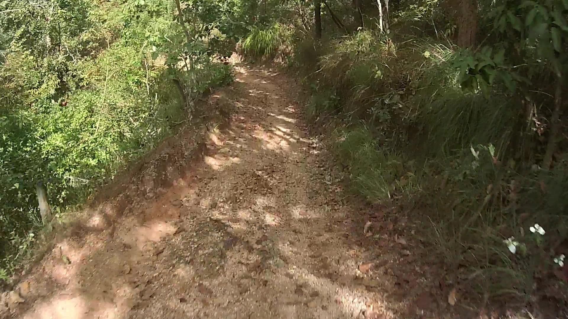 Street view near passed check, Pai