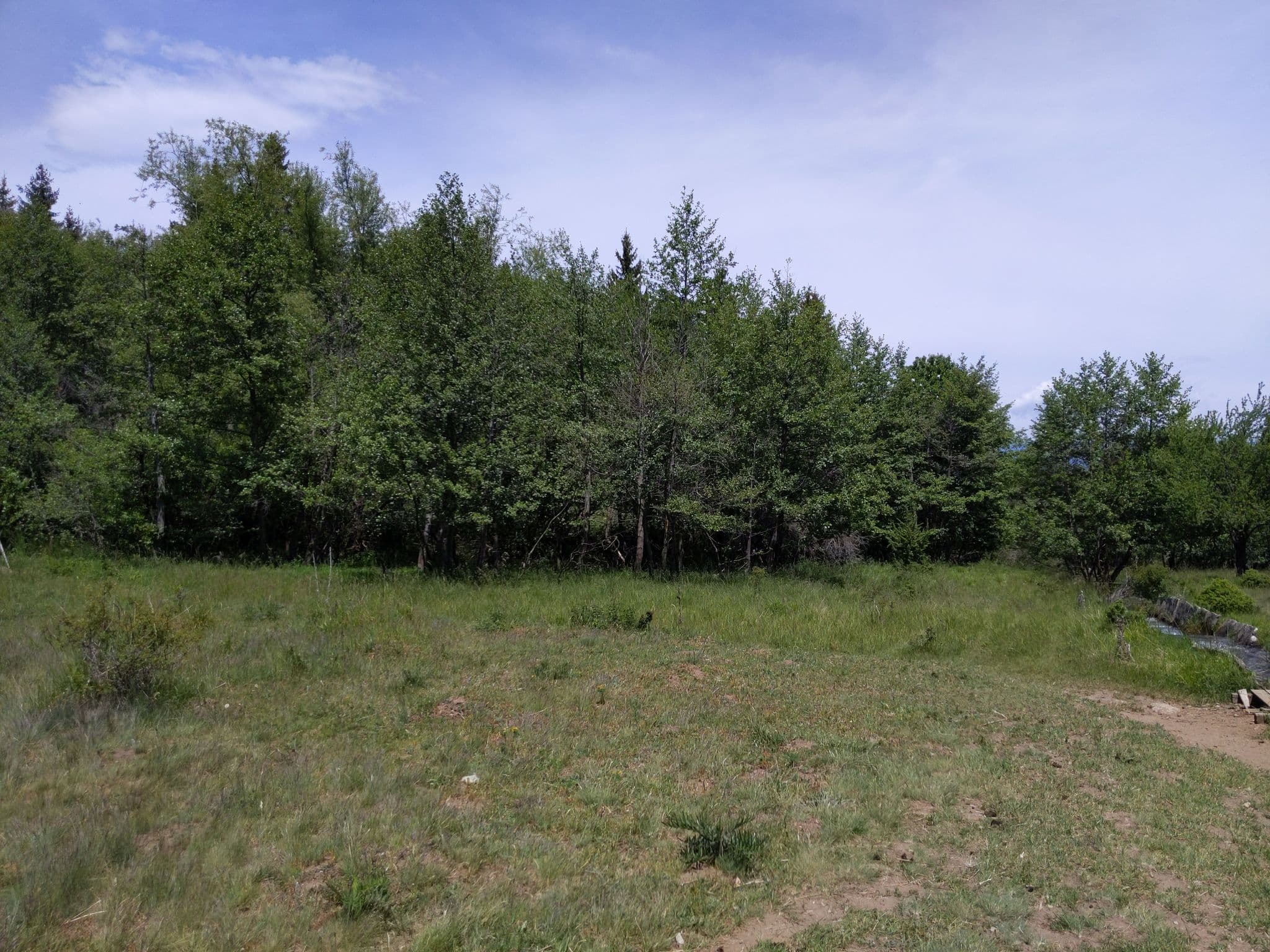 Street view near Between the Mountains, Bansko — © nggulko (CC BY-SA · Mapillary)