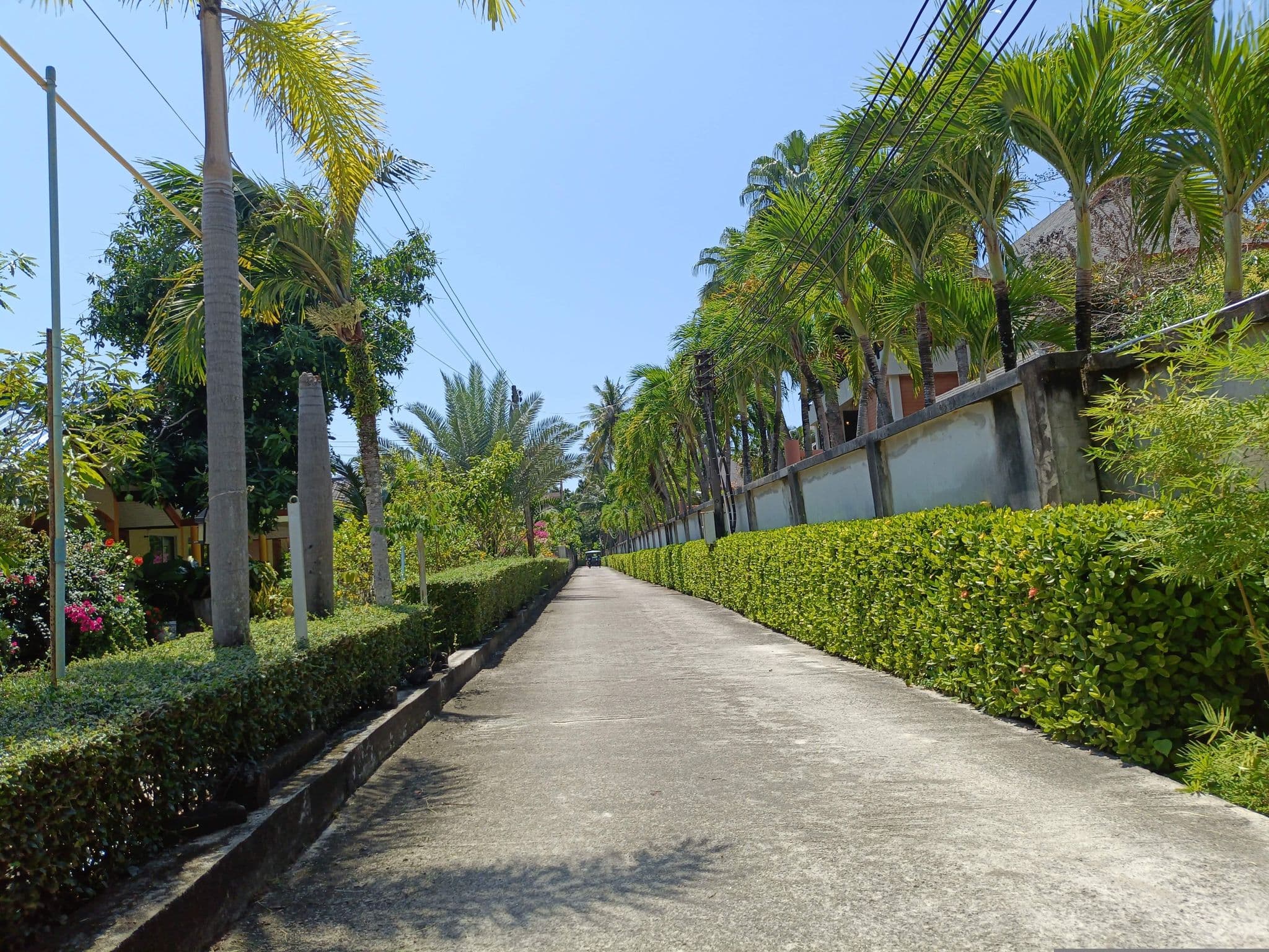 Street view near Together Bungalows, Saladan