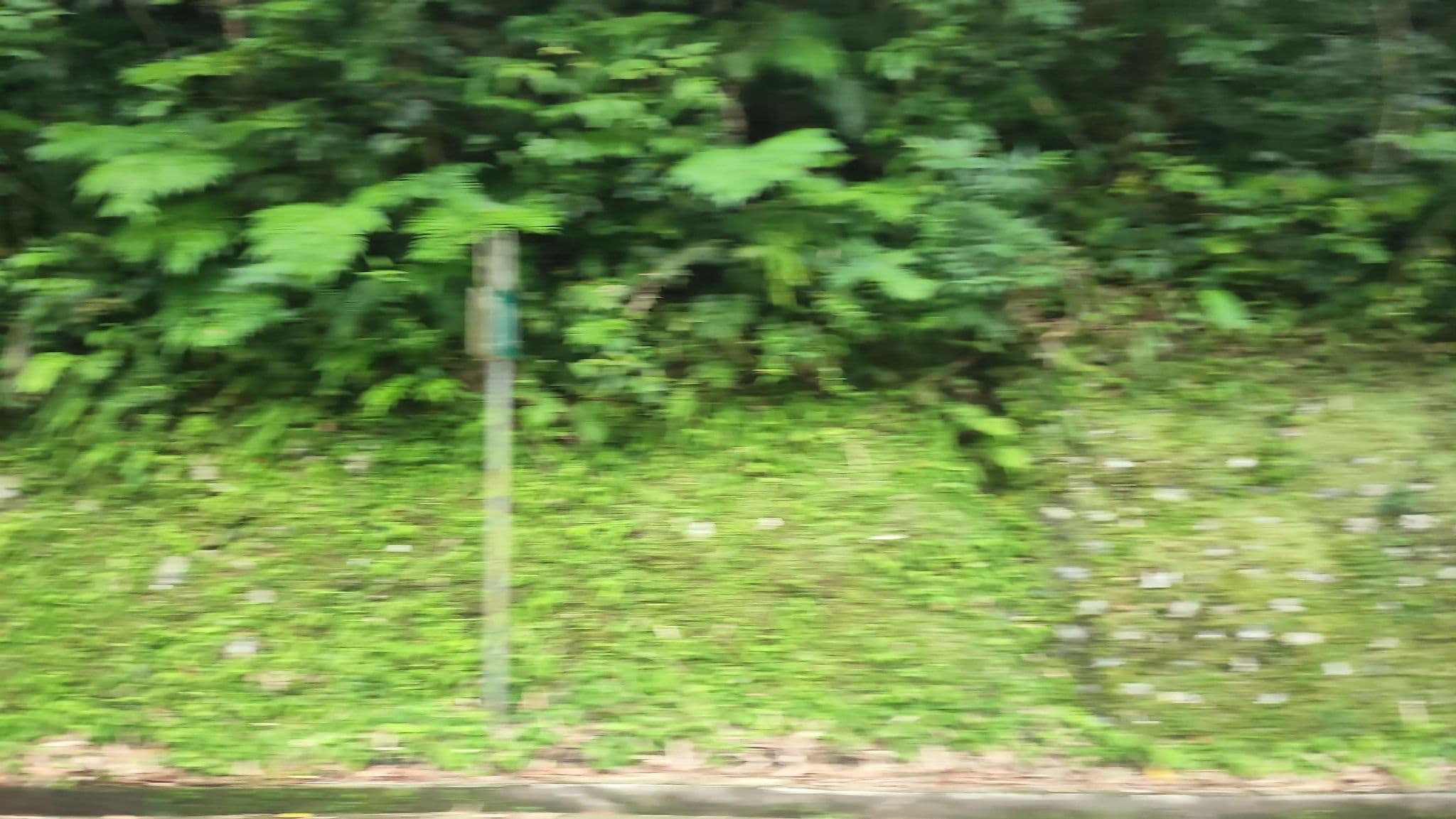 Street view near 831露營區, Wulai — © monica_migu (CC BY-SA · Mapillary)