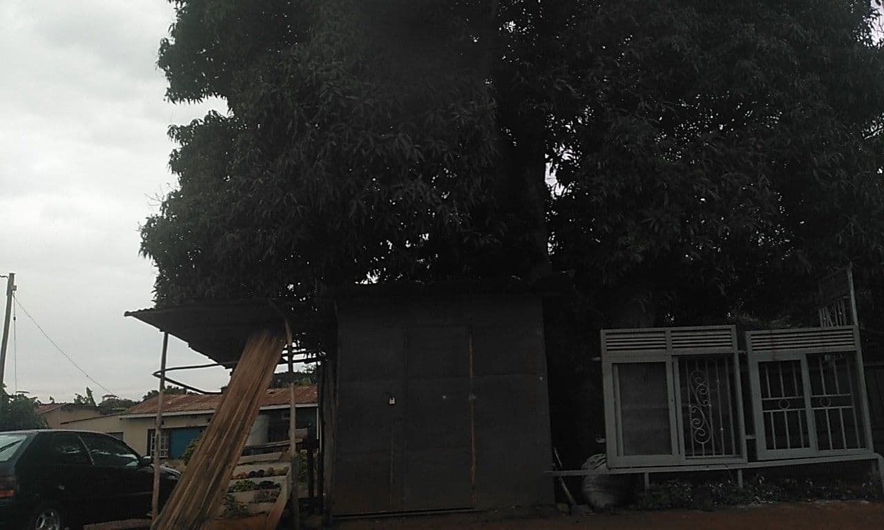 Street view near Hoopoe Suites, Kira — © ralebipim (CC BY-SA · Mapillary)