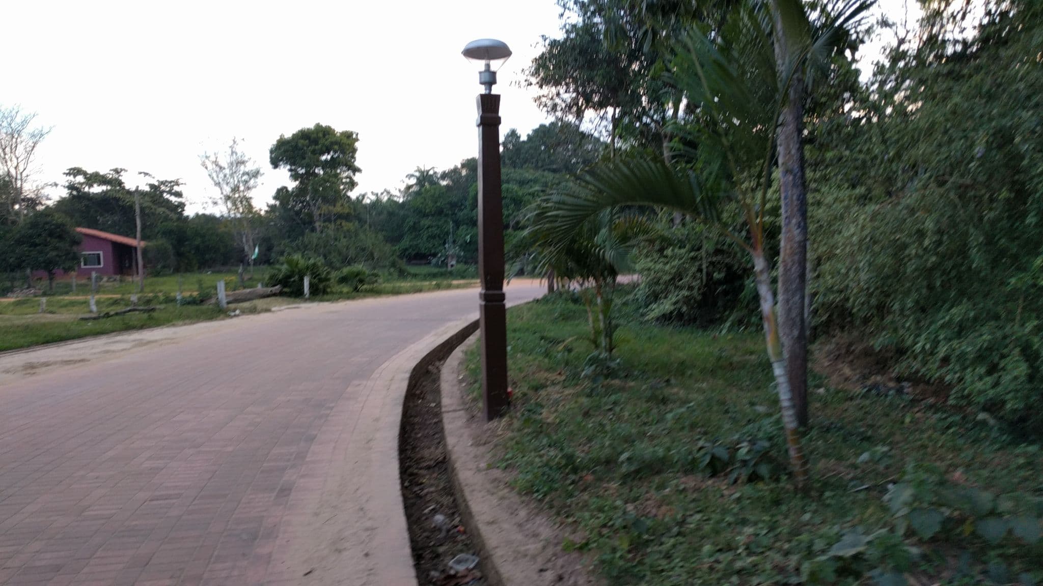 Street view near La Carcel, Buena Vista — © yoviajo (CC BY-SA · Mapillary)