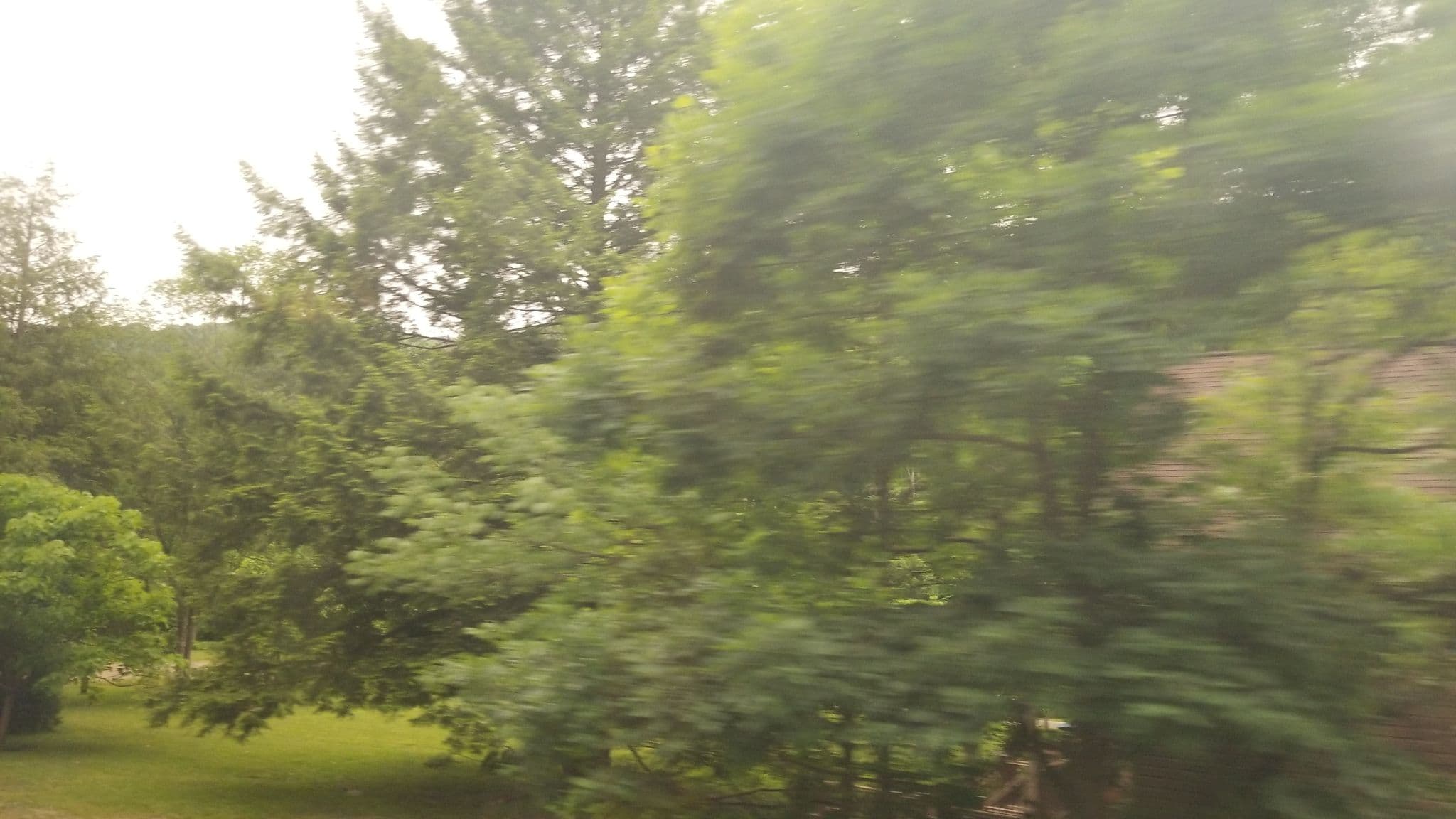 Street view near Paddler's Lane Campground, South Connellsville — © jbthemilker (CC BY-SA · Mapillary)