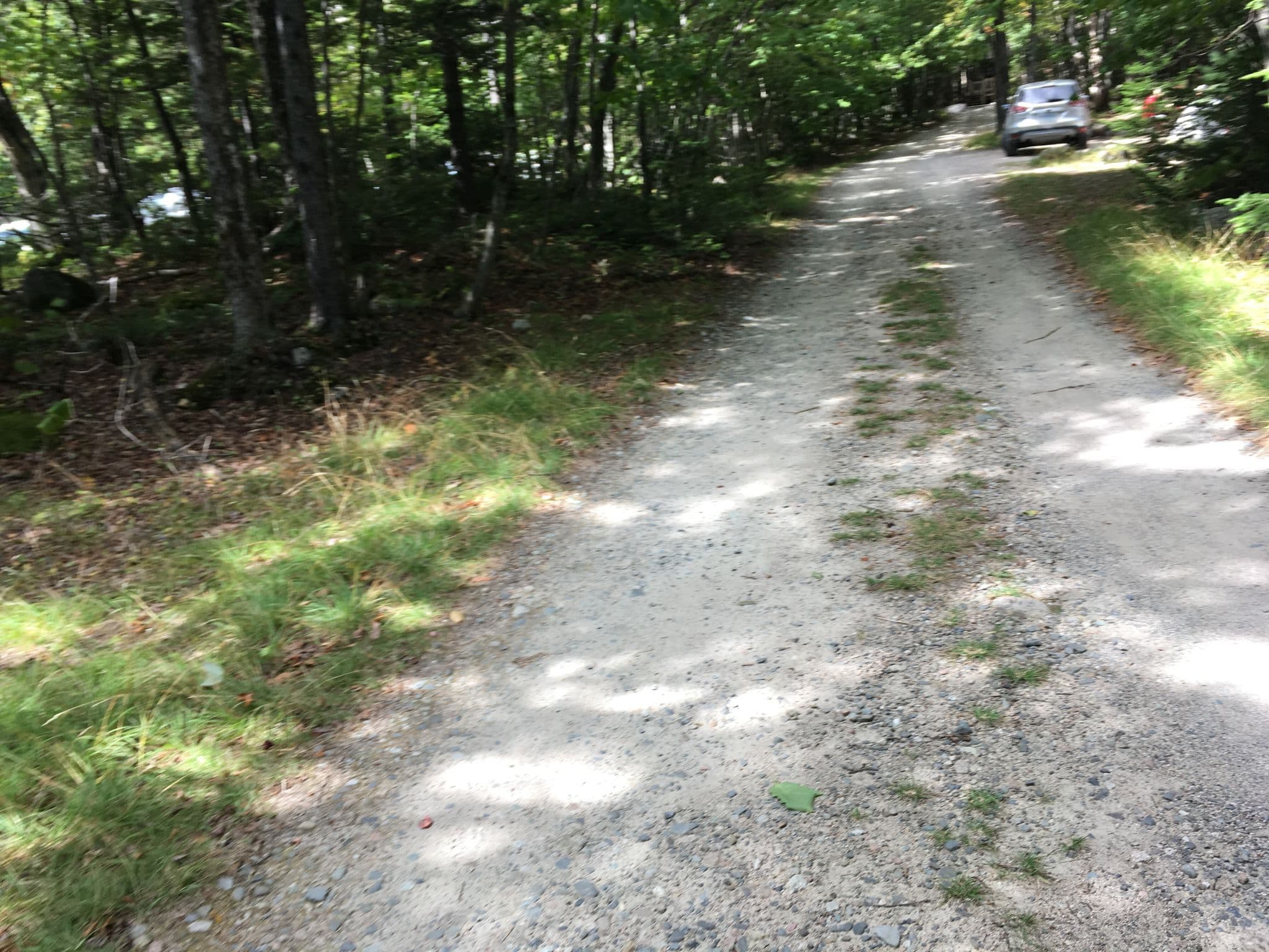 Street view near Roaring Brook Campground, Millinocket — © mapillary01730 (CC BY-SA · Mapillary)