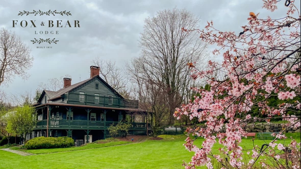 Fox & Bear Lodge, Guesthouse in Vernon Valley