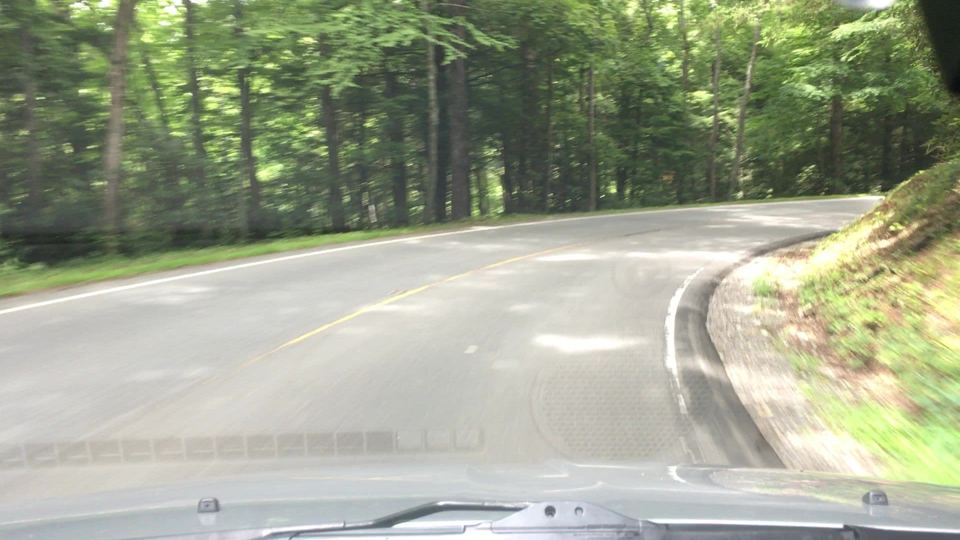 Street view near Carolina Hemlocks Recreation Area, Spruce Pine — © lvl5 (CC BY-SA · Mapillary)