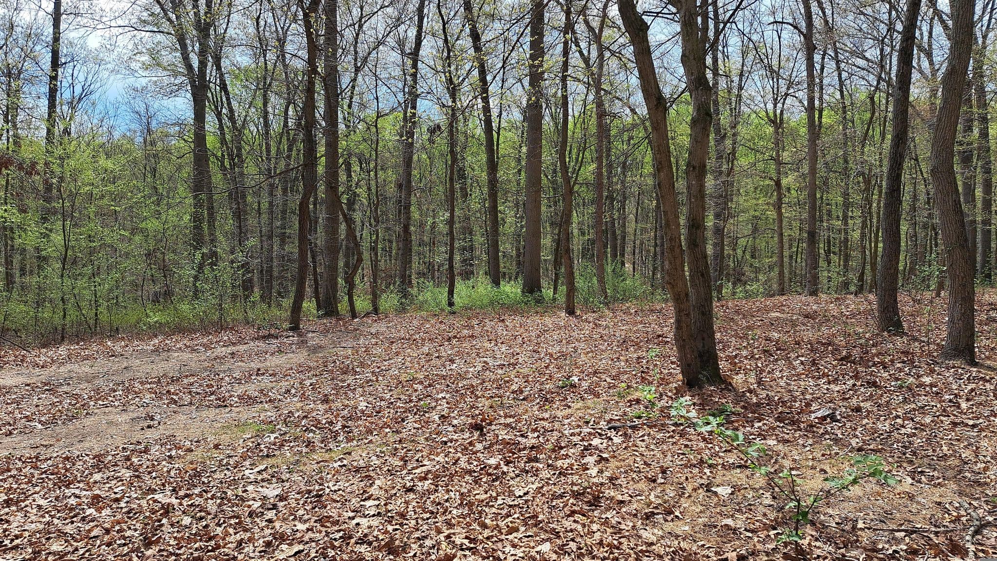 Street view near Friar Tuck, Susquehanna Trails — © jspath55 (CC BY-SA · Mapillary)