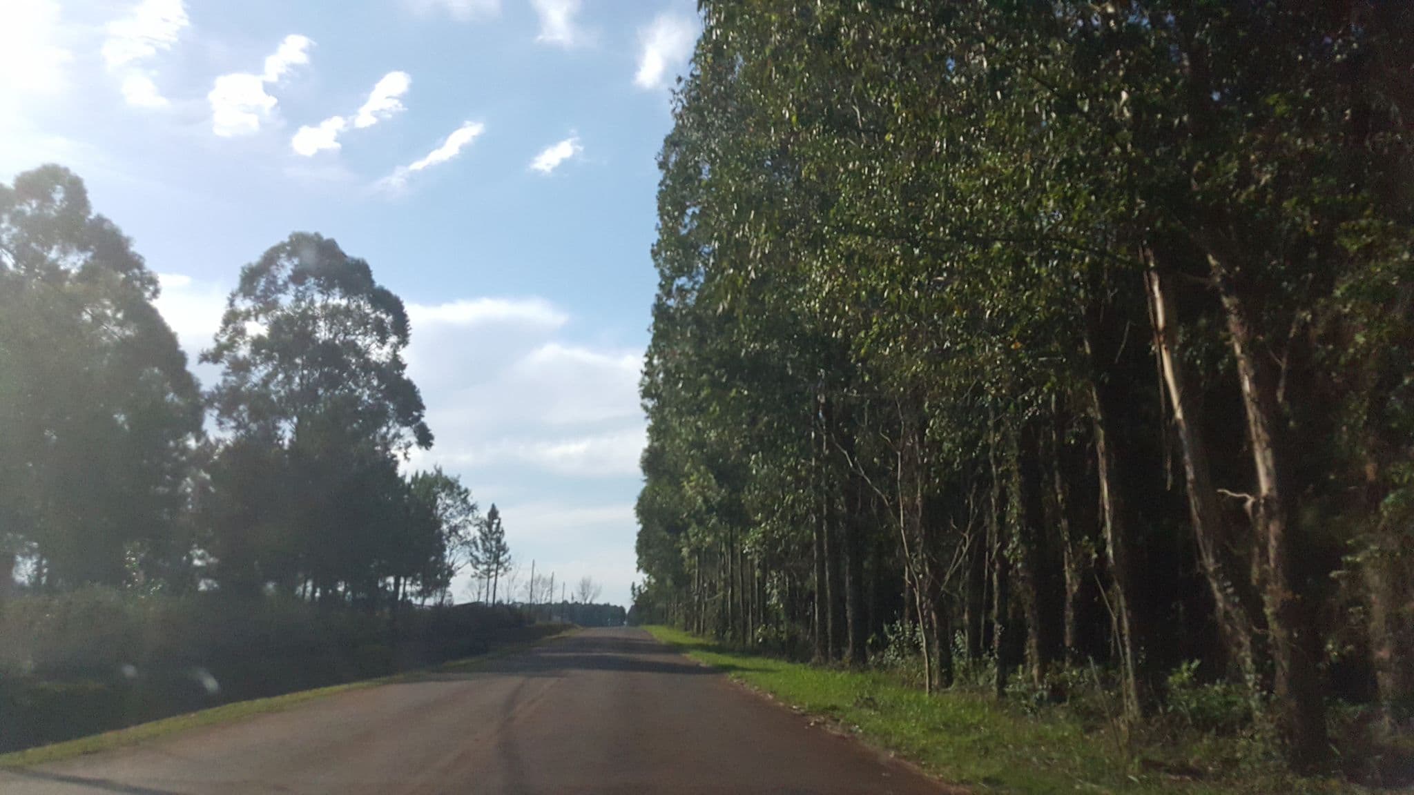 Street view near Las Azaleas, Puerto Leoni — © diegokrein (CC BY-SA · Mapillary)