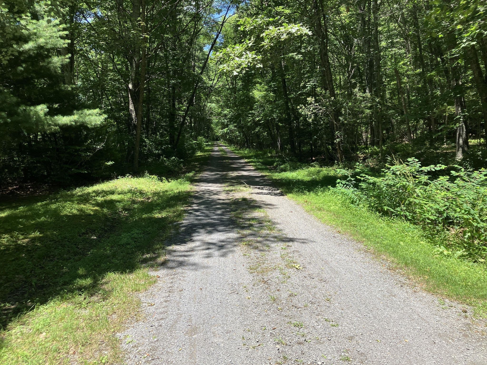 Street view near Mile 63.8 Campsite, Marlinton — © AnonymousAntelope (CC BY-SA · Mapillary)