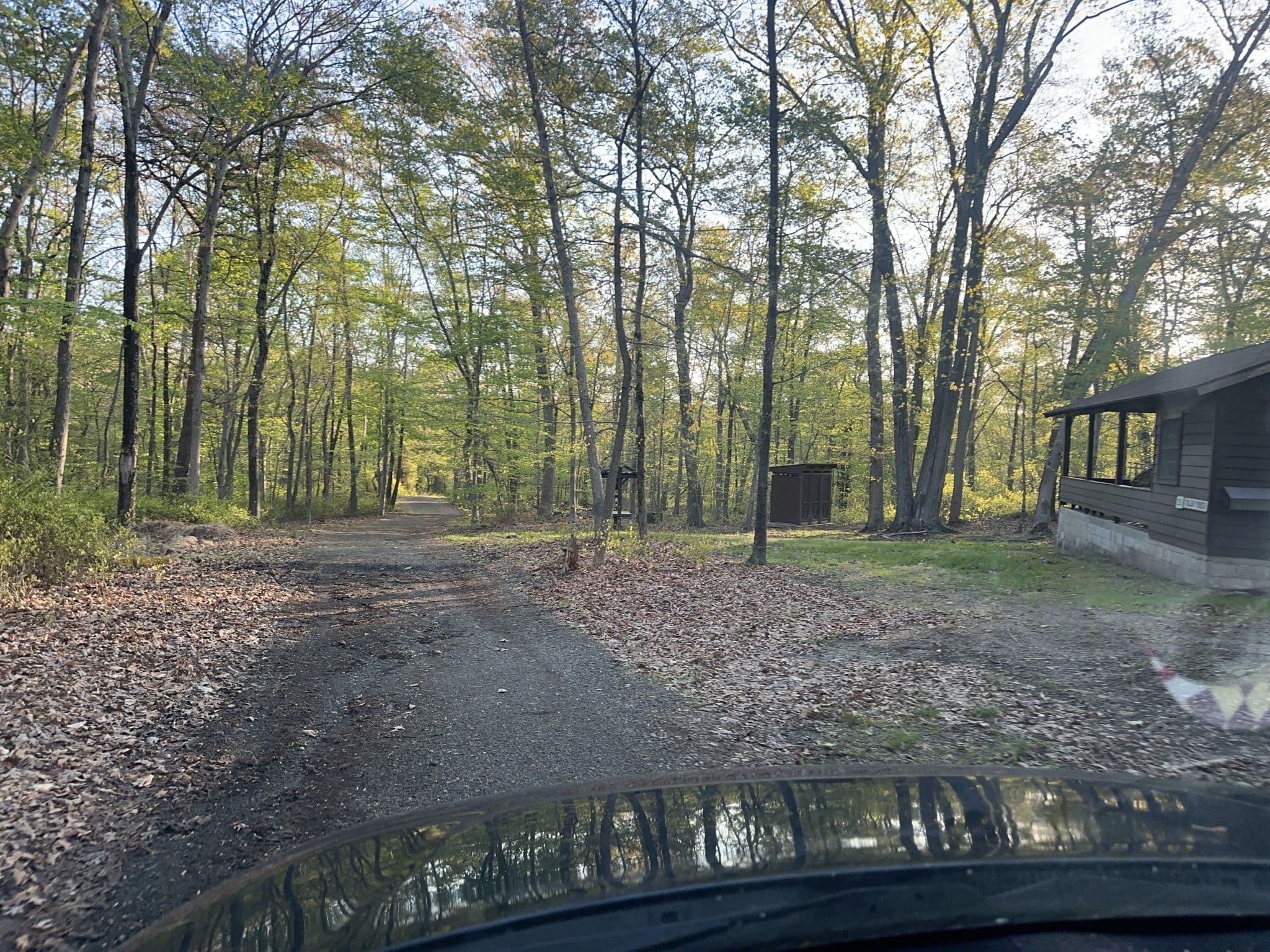 Street view near Fallen Timber, Rising Sun — © mdroads (CC BY-SA · Mapillary)