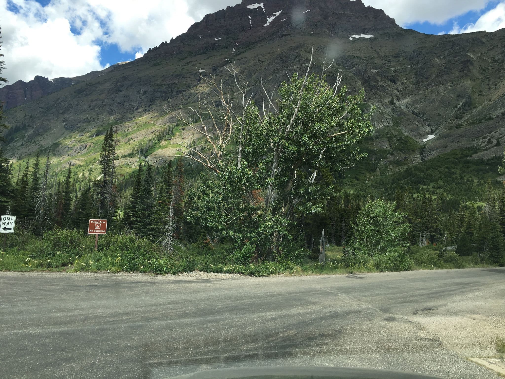 Street view near Two Medicine, South Browning — © nigelramsay (CC BY-SA · Mapillary)