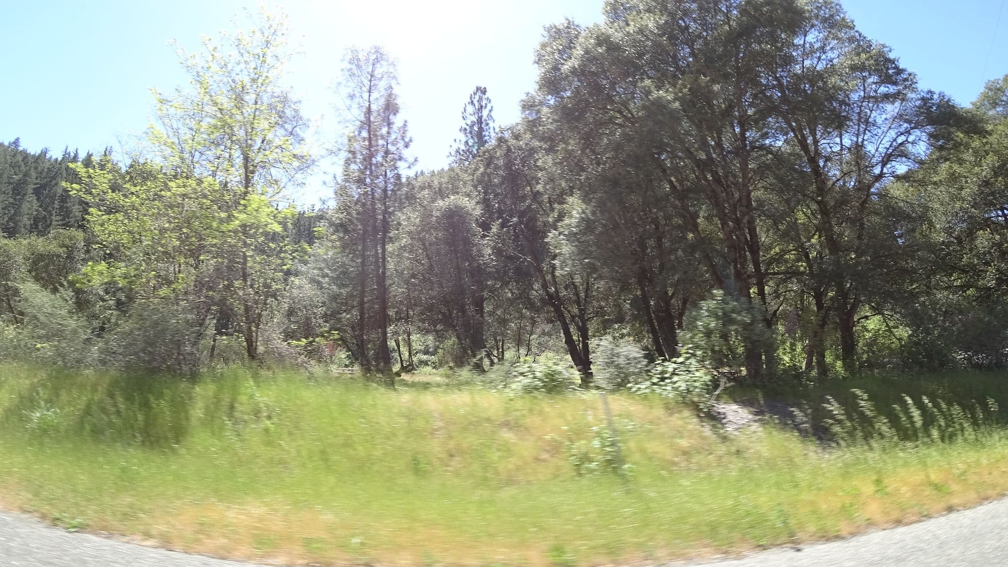 Street view near Skunk Point Group Campground, Hayfork — © stilldavid (CC BY-SA · Mapillary)