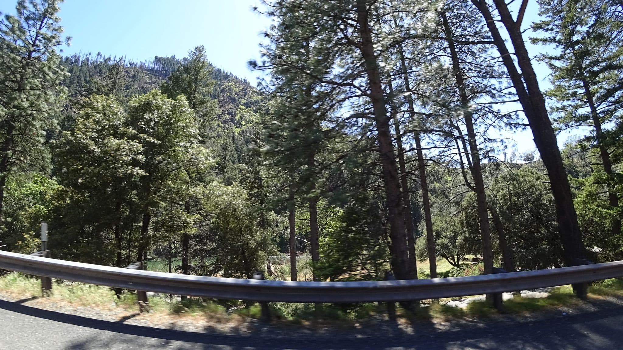 Street view near Public camping area, Hayfork — © stilldavid (CC BY-SA · Mapillary)