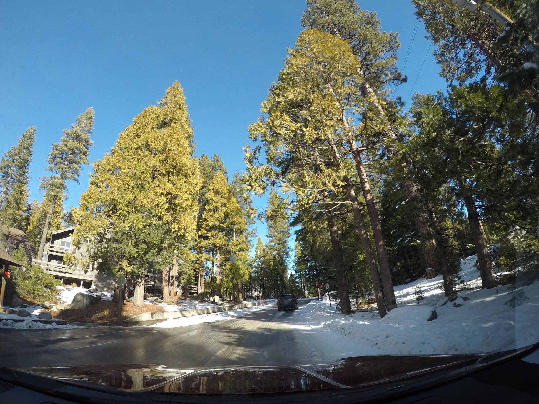 Street view near Pinecrest Lake Resort, Twain Harte — © evansiroky (CC BY-SA · Mapillary)