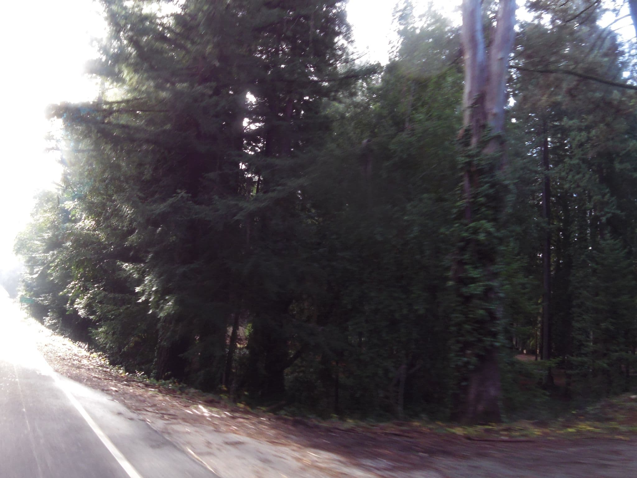 Street view near The Brambles, Ukiah — © andrewsnow (CC BY-SA · Mapillary)