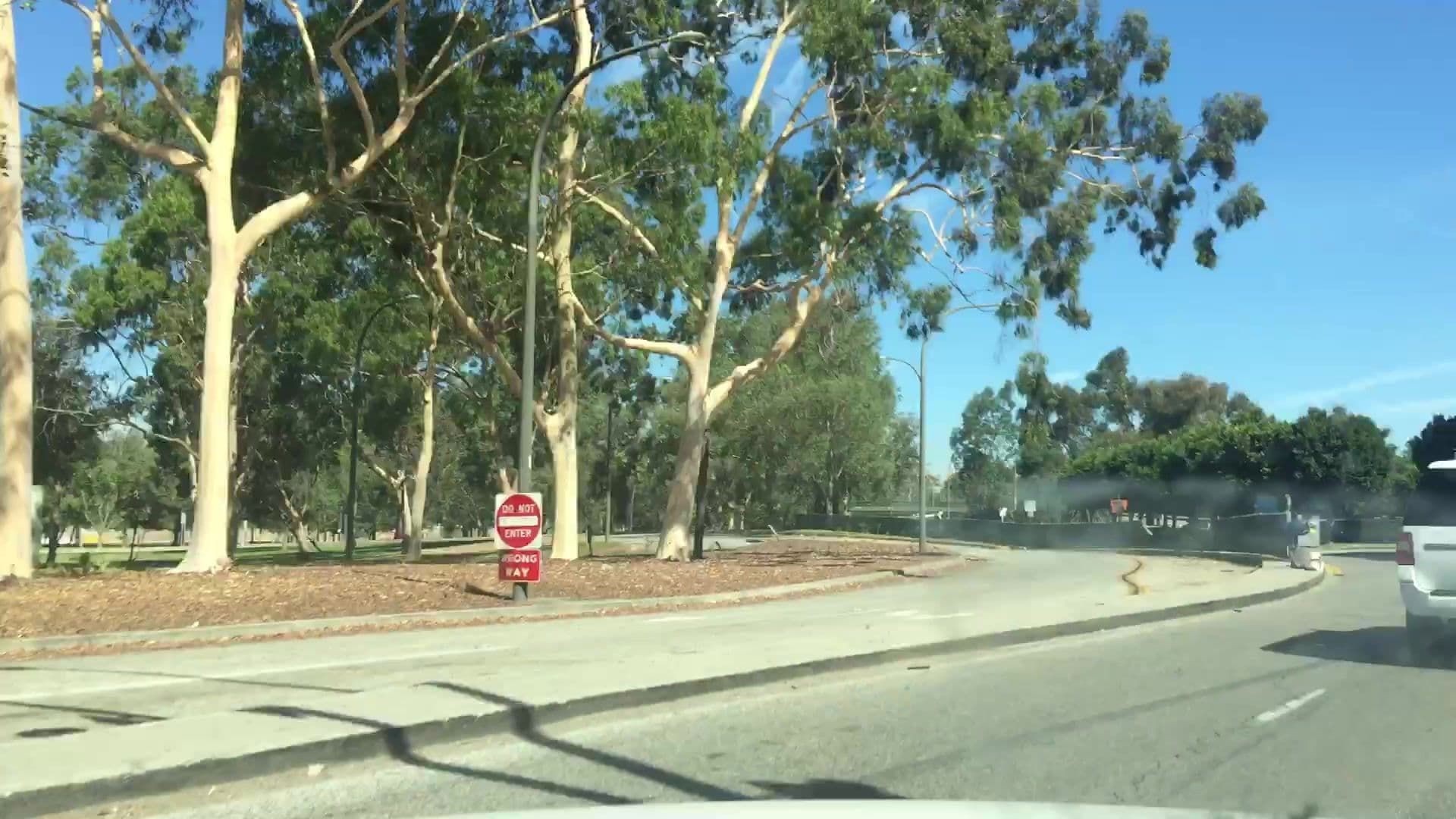 Street view near Hilton Long Beach, Long Beach — © lvl5 (CC BY-SA · Mapillary)
