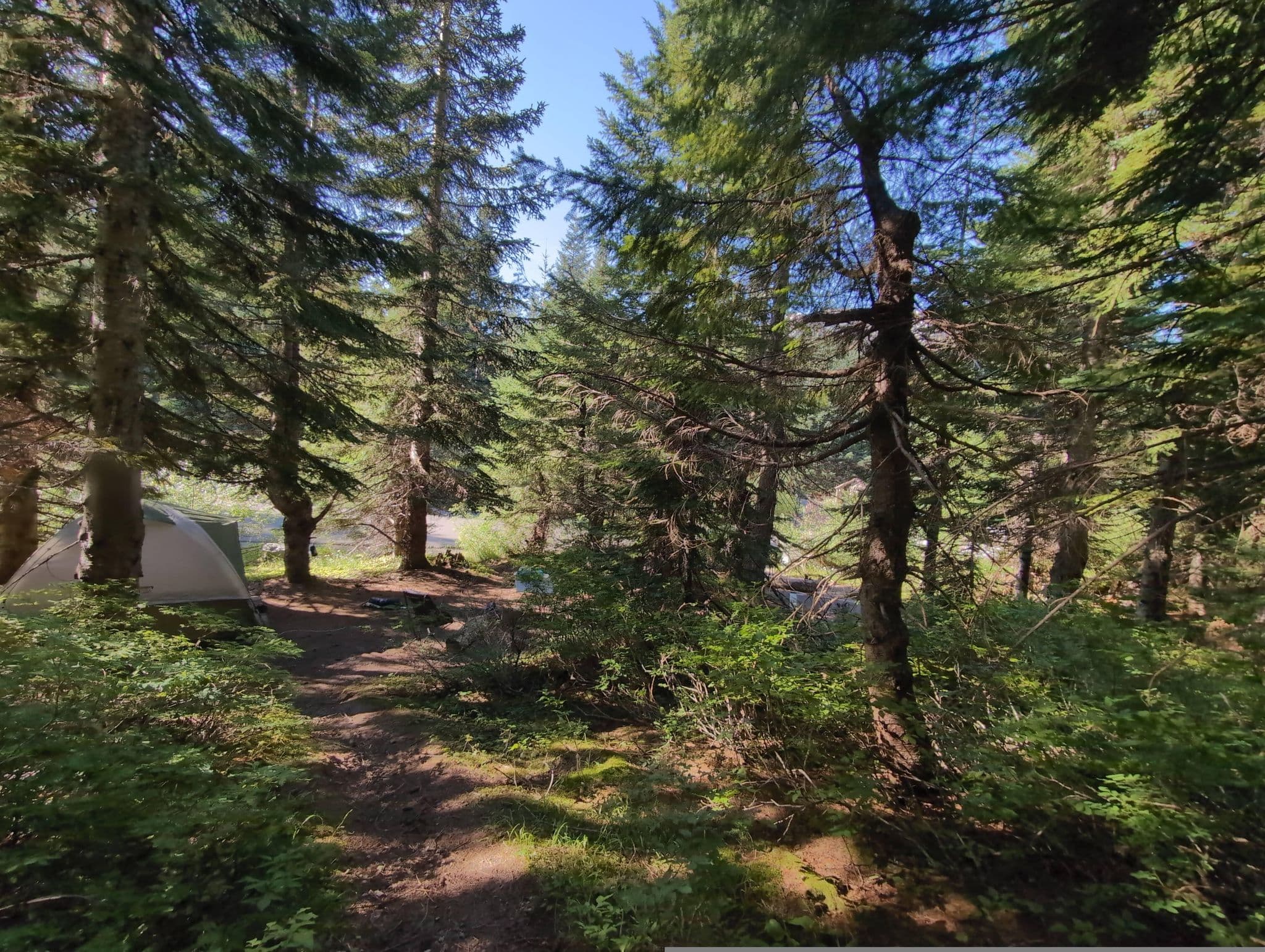 Street view near Climbers Bivouac, Yacolt — © maxolasersquad (CC BY-SA · Mapillary)
