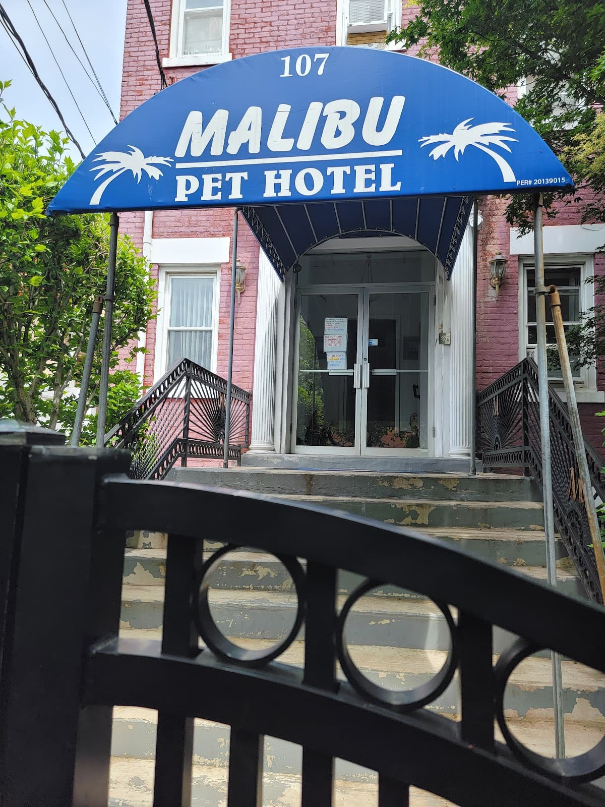 Malibu Pet Hotel | Pet Boarding, Hotel in Freeport