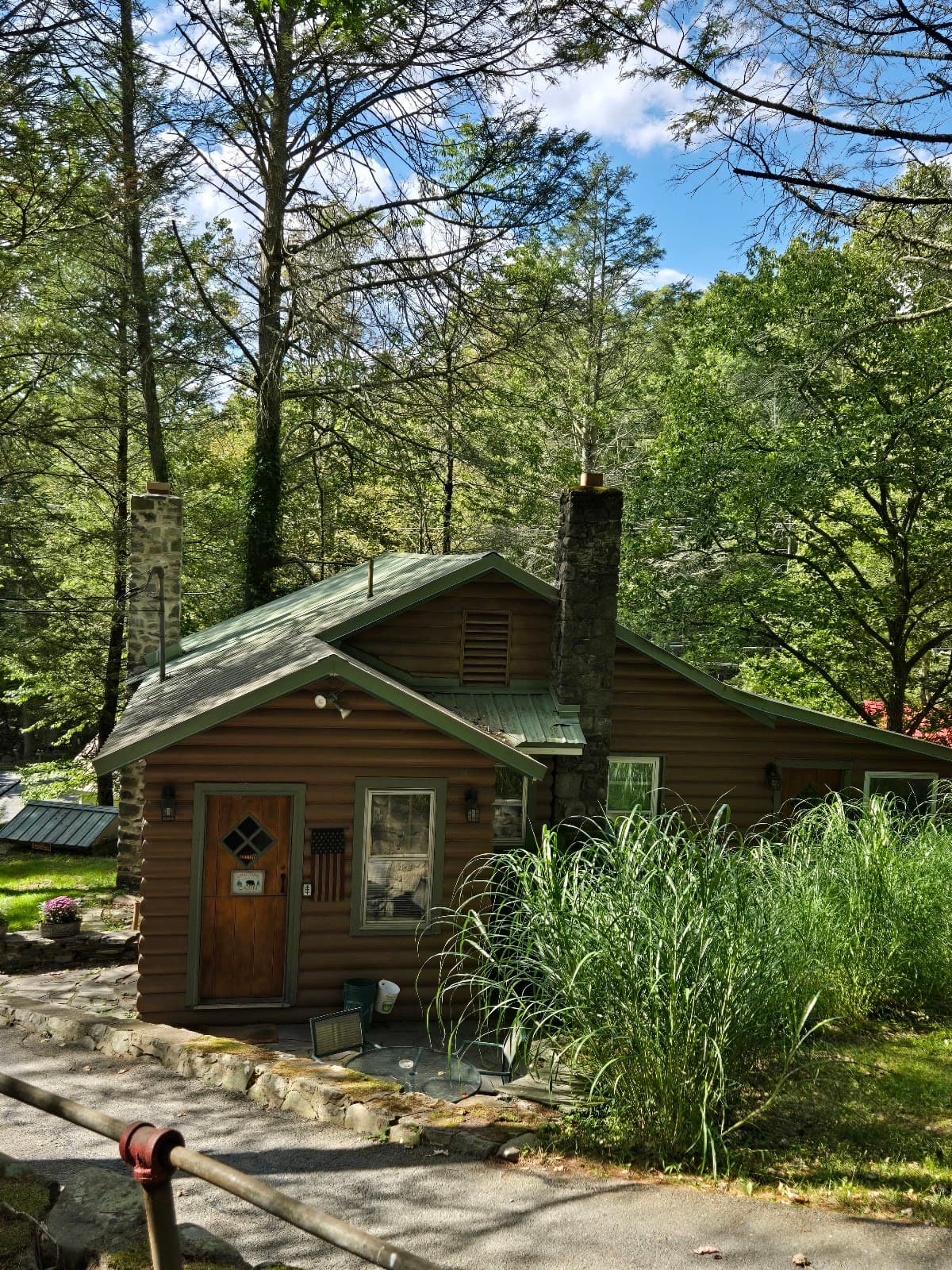 Beartown cottages, Hotel in Mountainhome